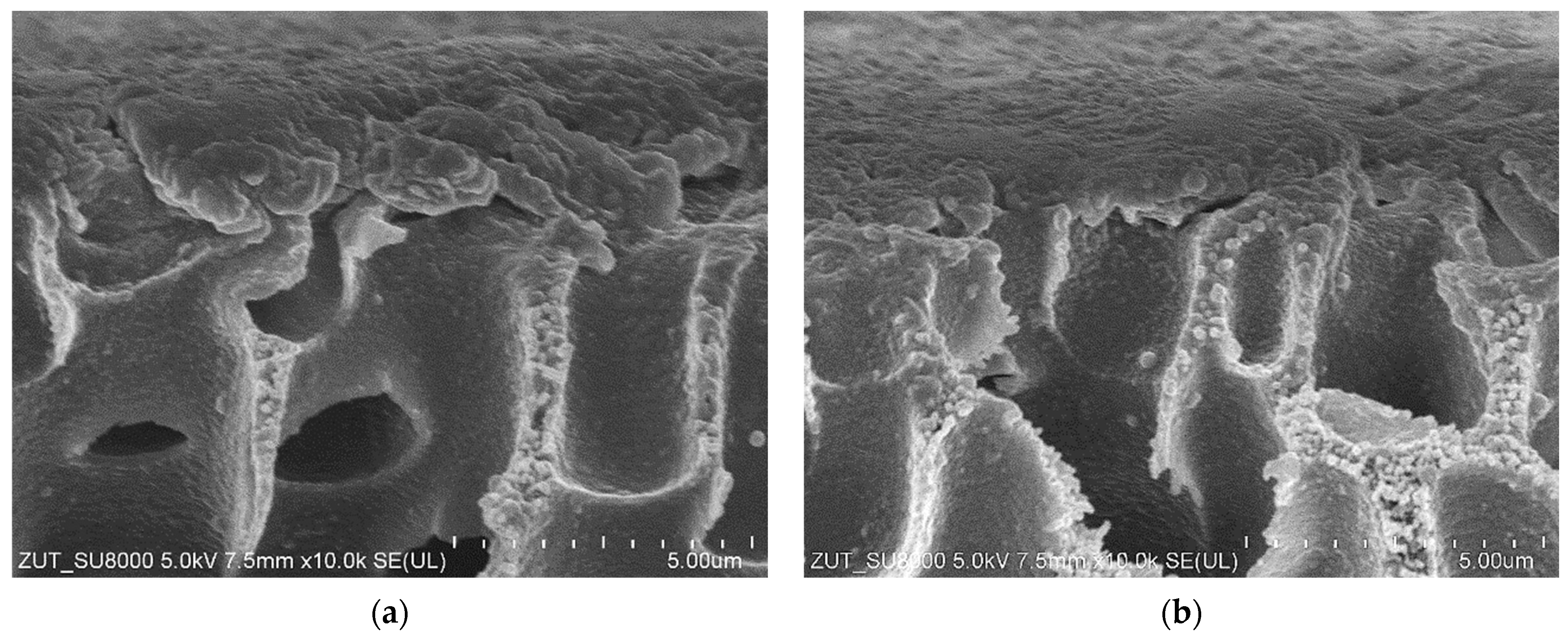 Materials 16 01673 g010 Materials 16 01673 g010