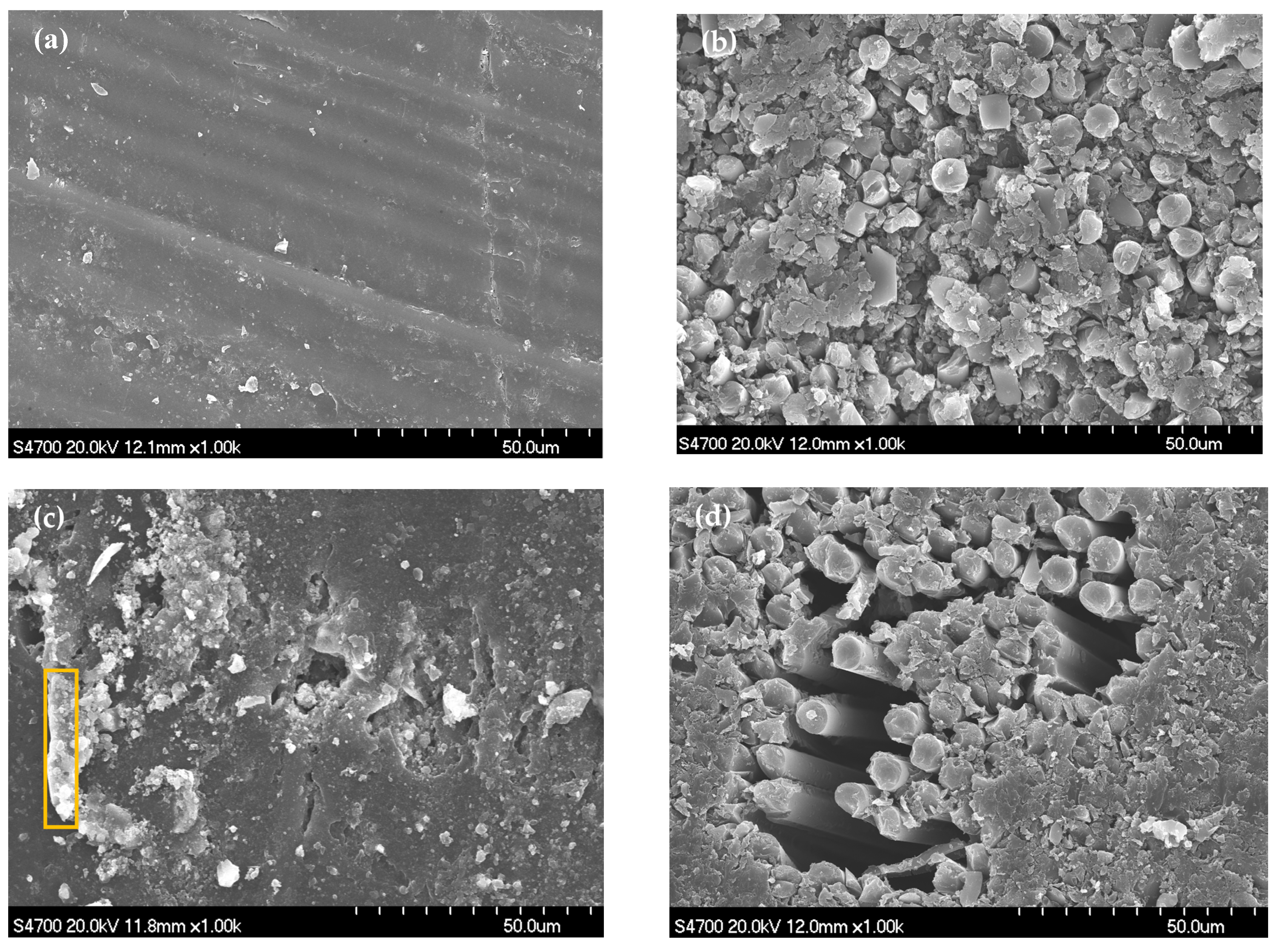 Materials 16 01676 g005