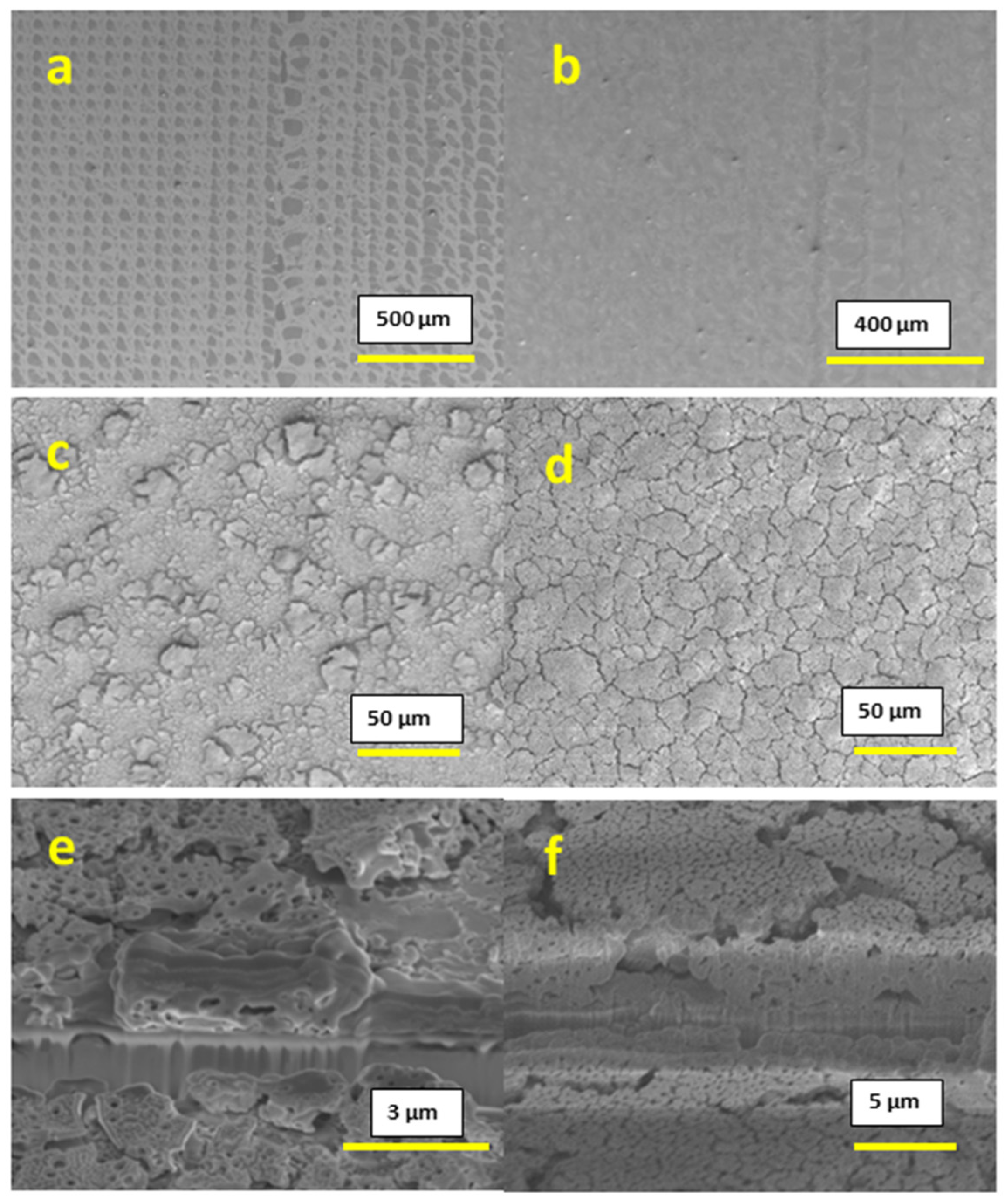 Materials 16 01685 g002