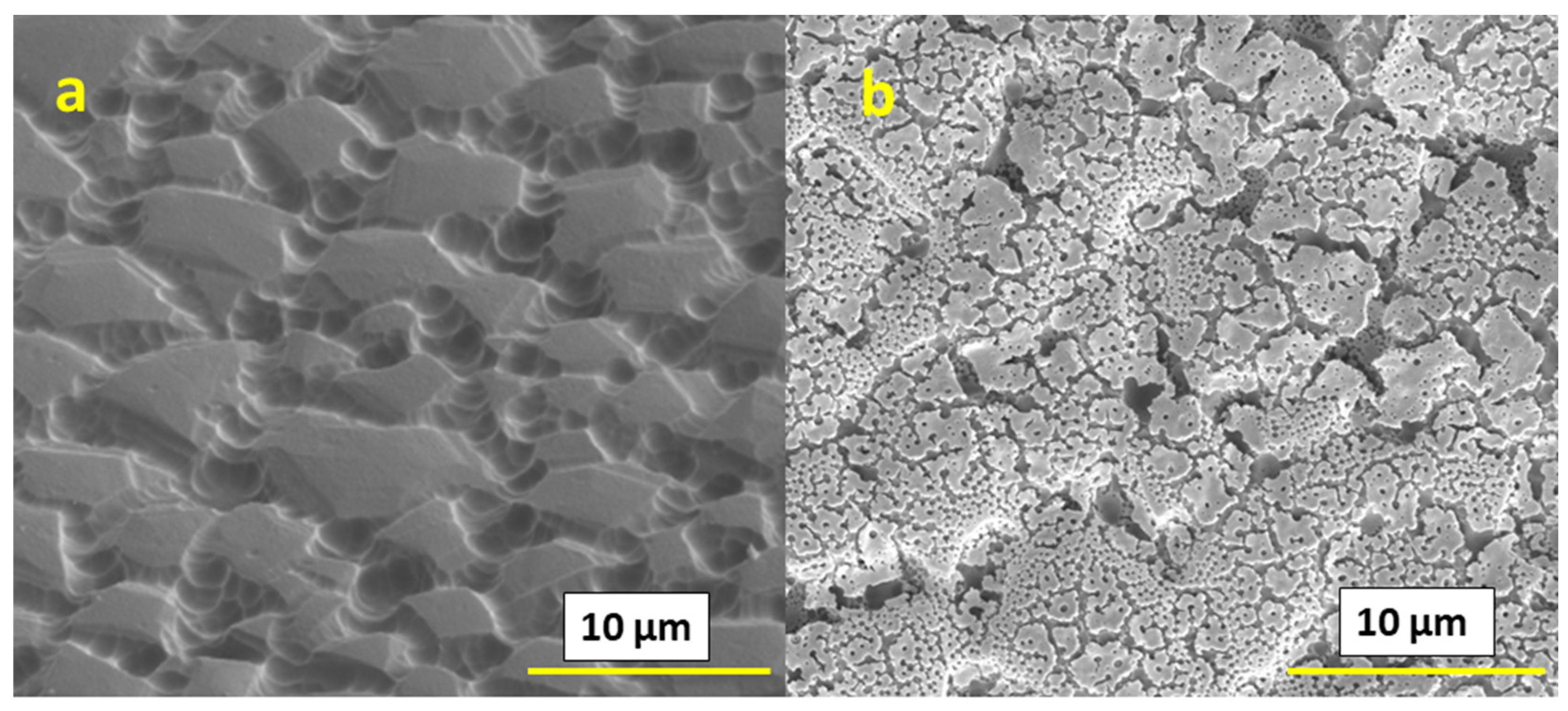 Materials 16 01685 g006