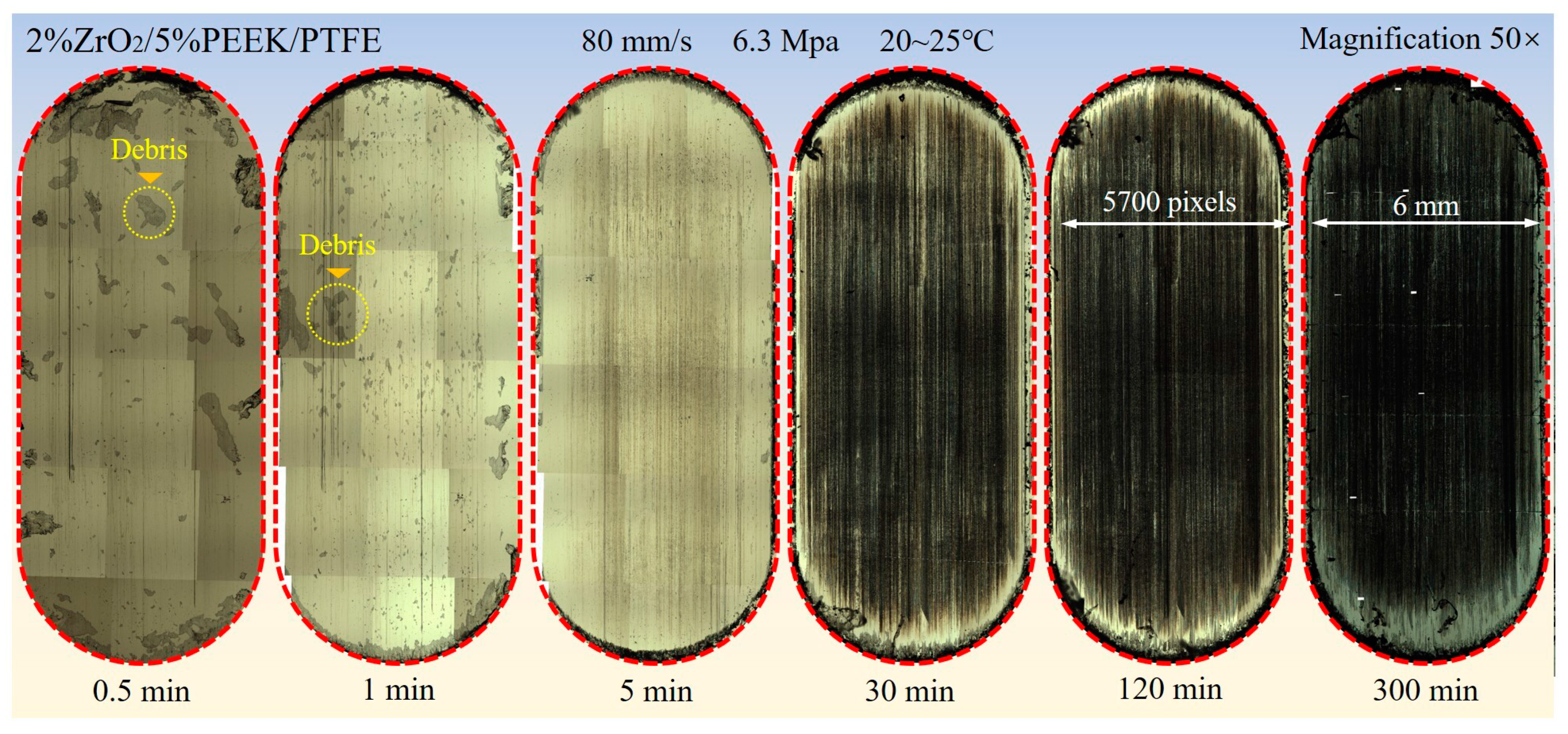 Materials 16 01688 g002