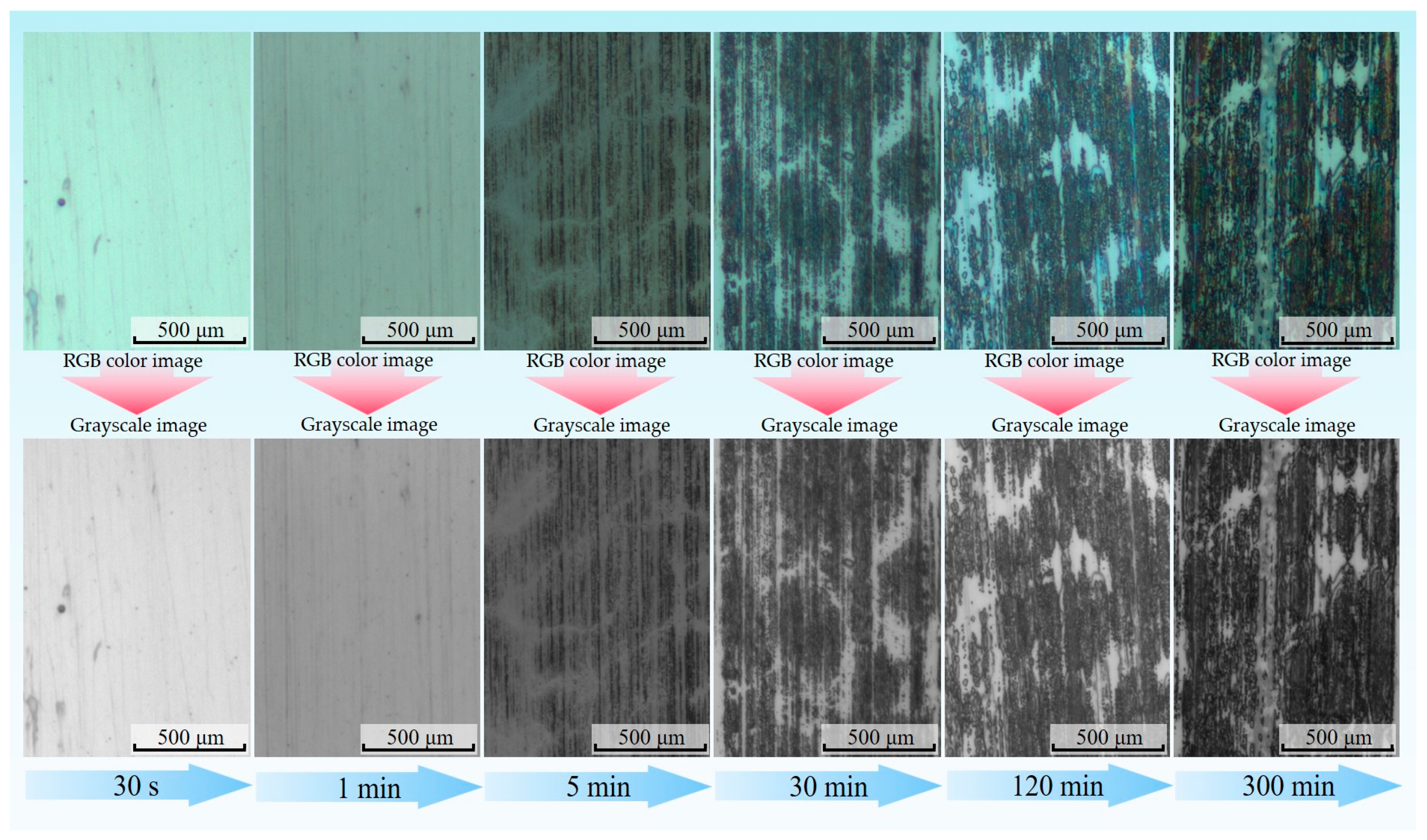 Materials 16 01688 g003