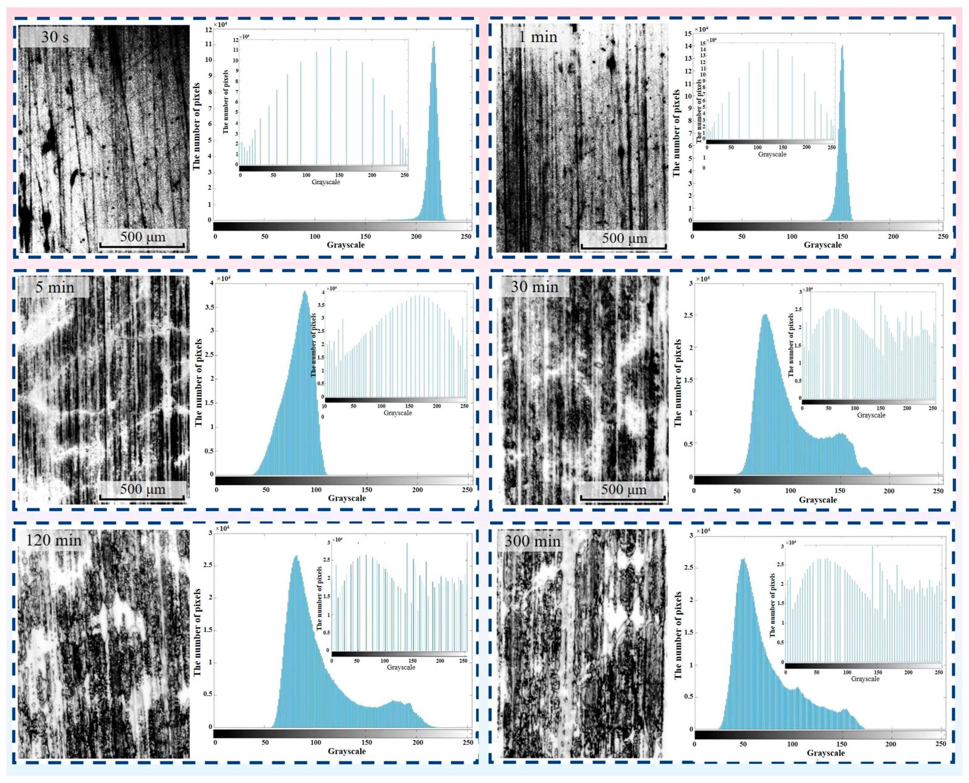 Materials 16 01688 g005