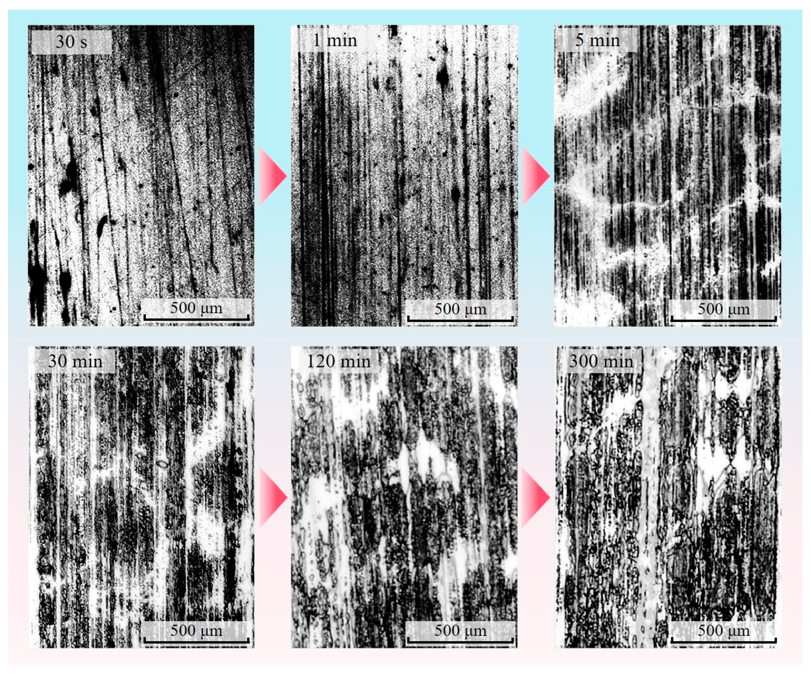 Materials 16 01688 g006