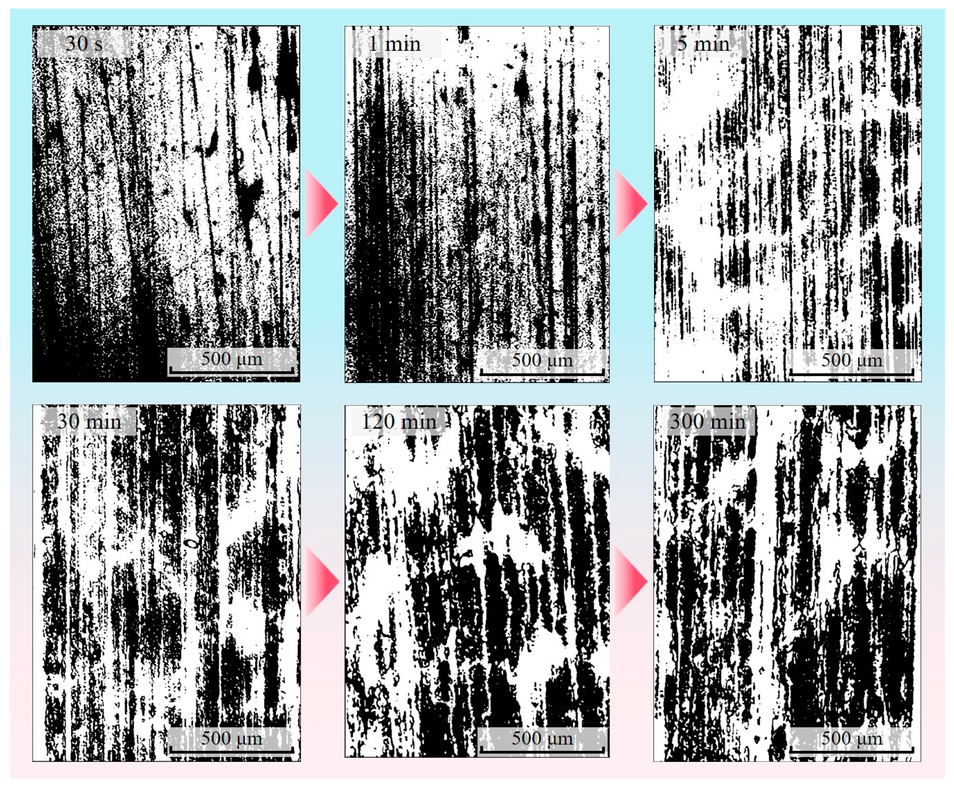 Materials 16 01688 g007