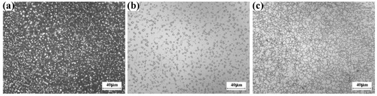 β Grain Size Inhomogeneity of Large Scale Ti-5Al-5V-5Mo-3Cr