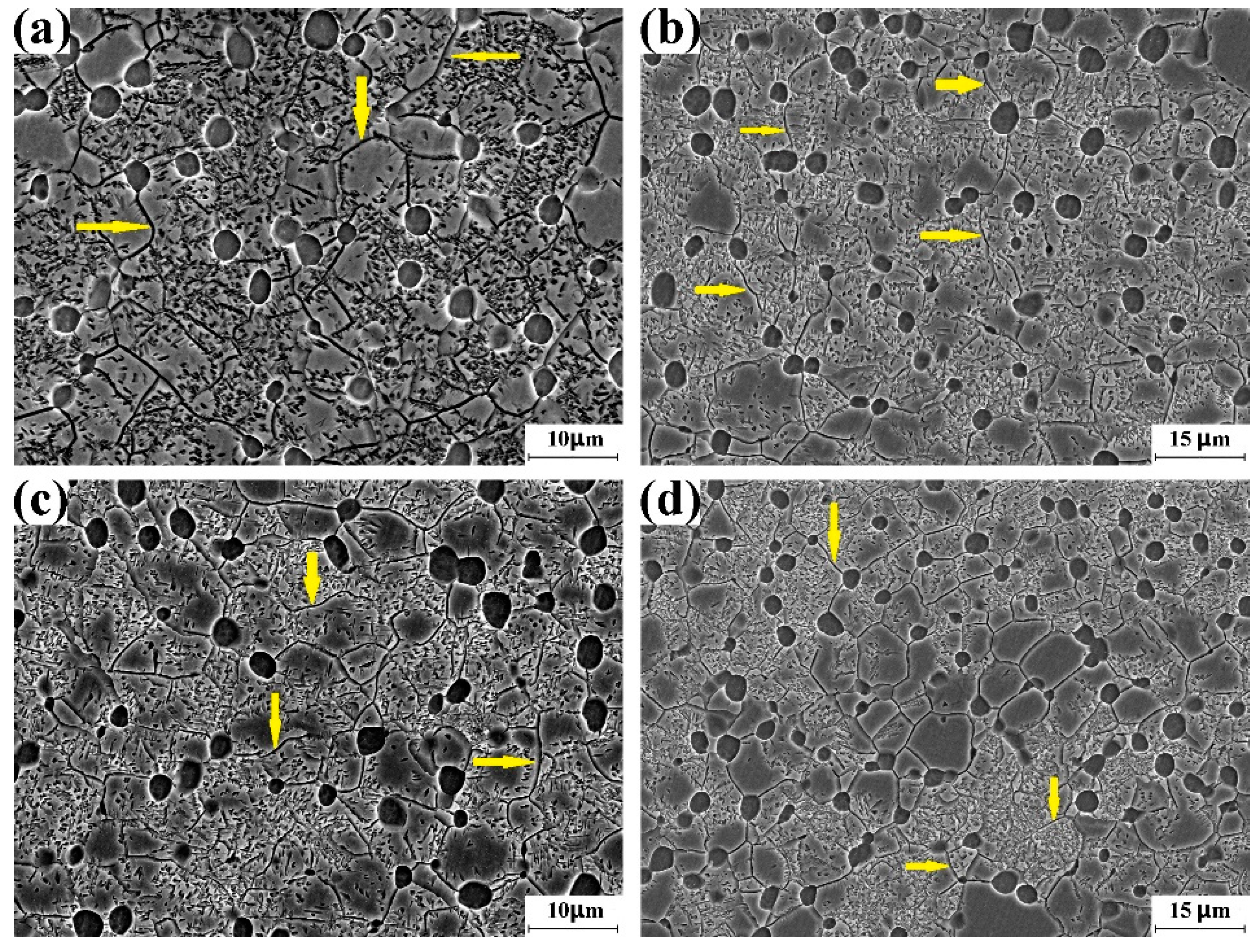 Materials 16 01692 g006 Materials 16 01692 g006