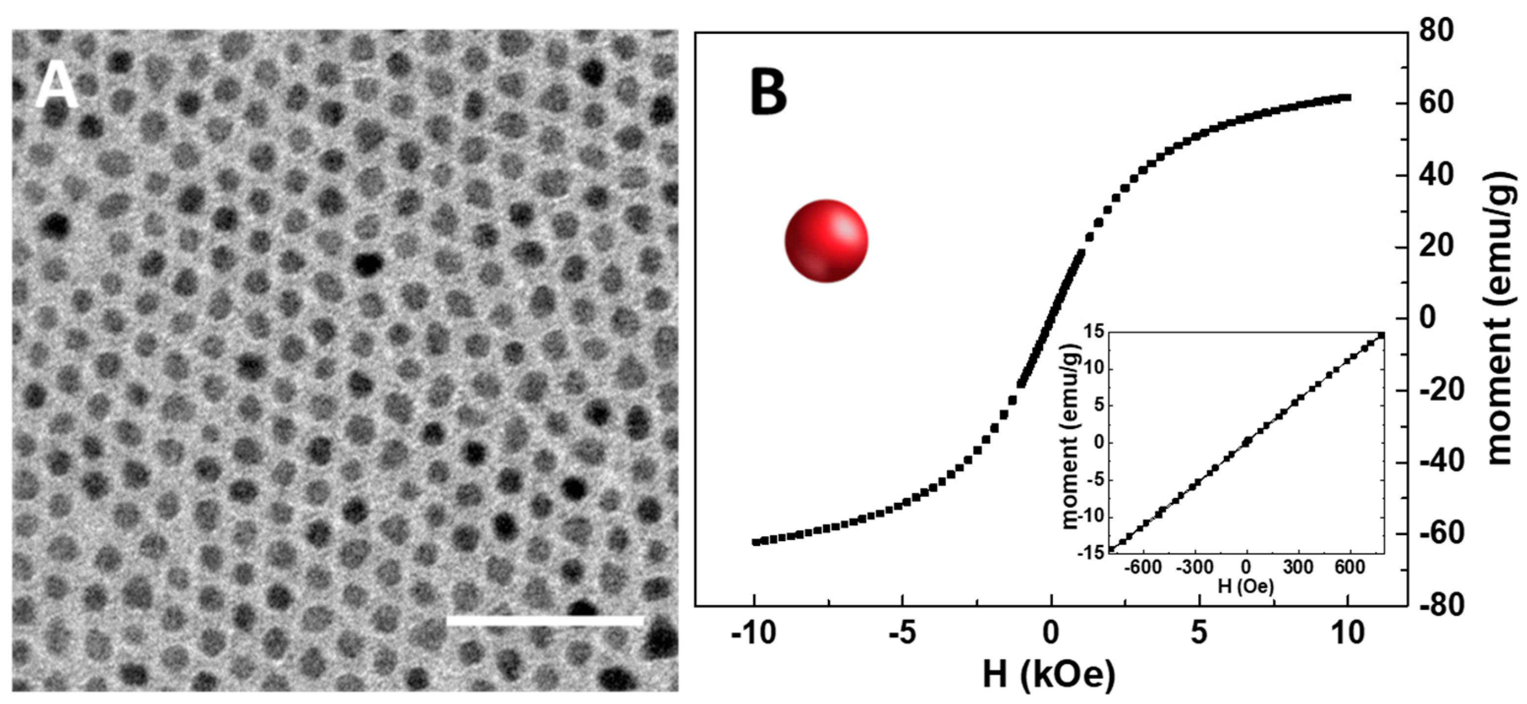 Materials 16 01697 g002 Materials 16 01697 g002