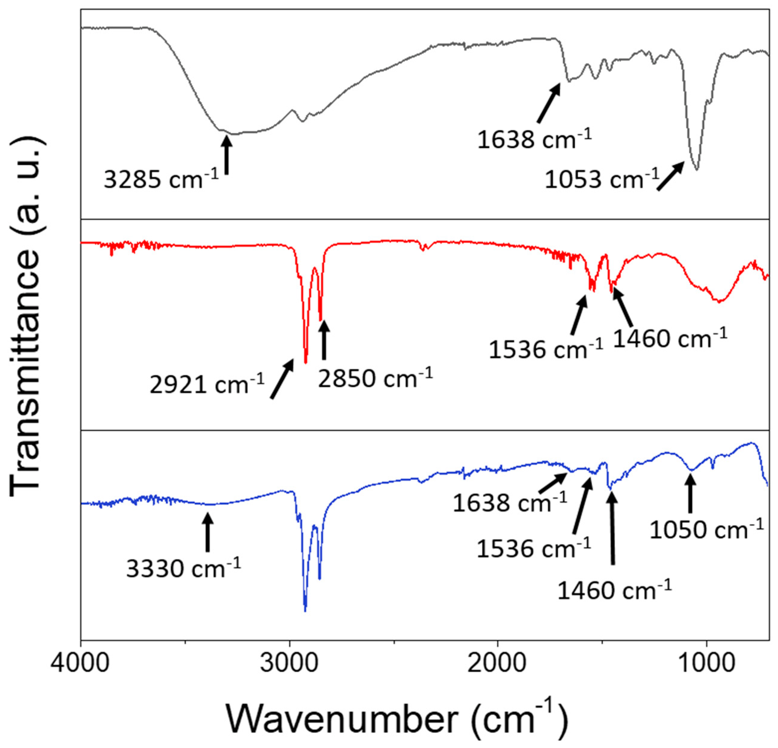 Materials 16 01697 g004 Materials 16 01697 g004
