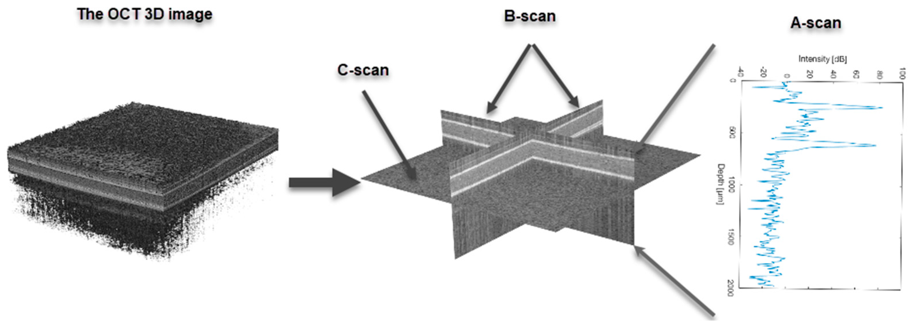 Materials 16 01703 g001 Materials 16 01703 g001