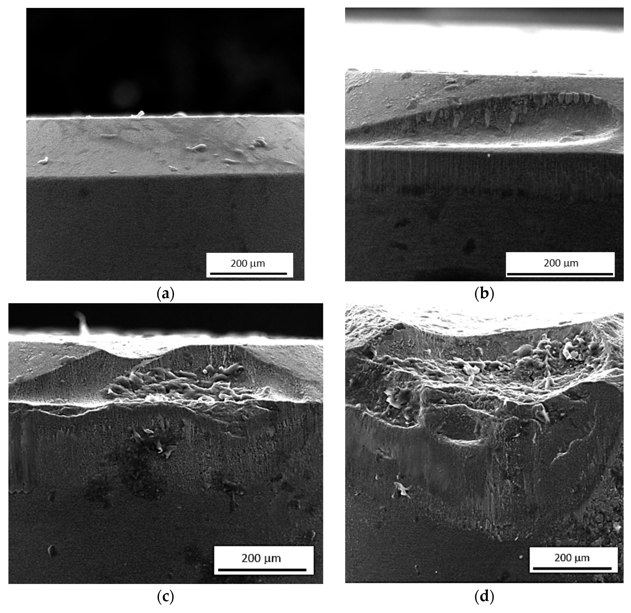 Materials 16 01709 g001a