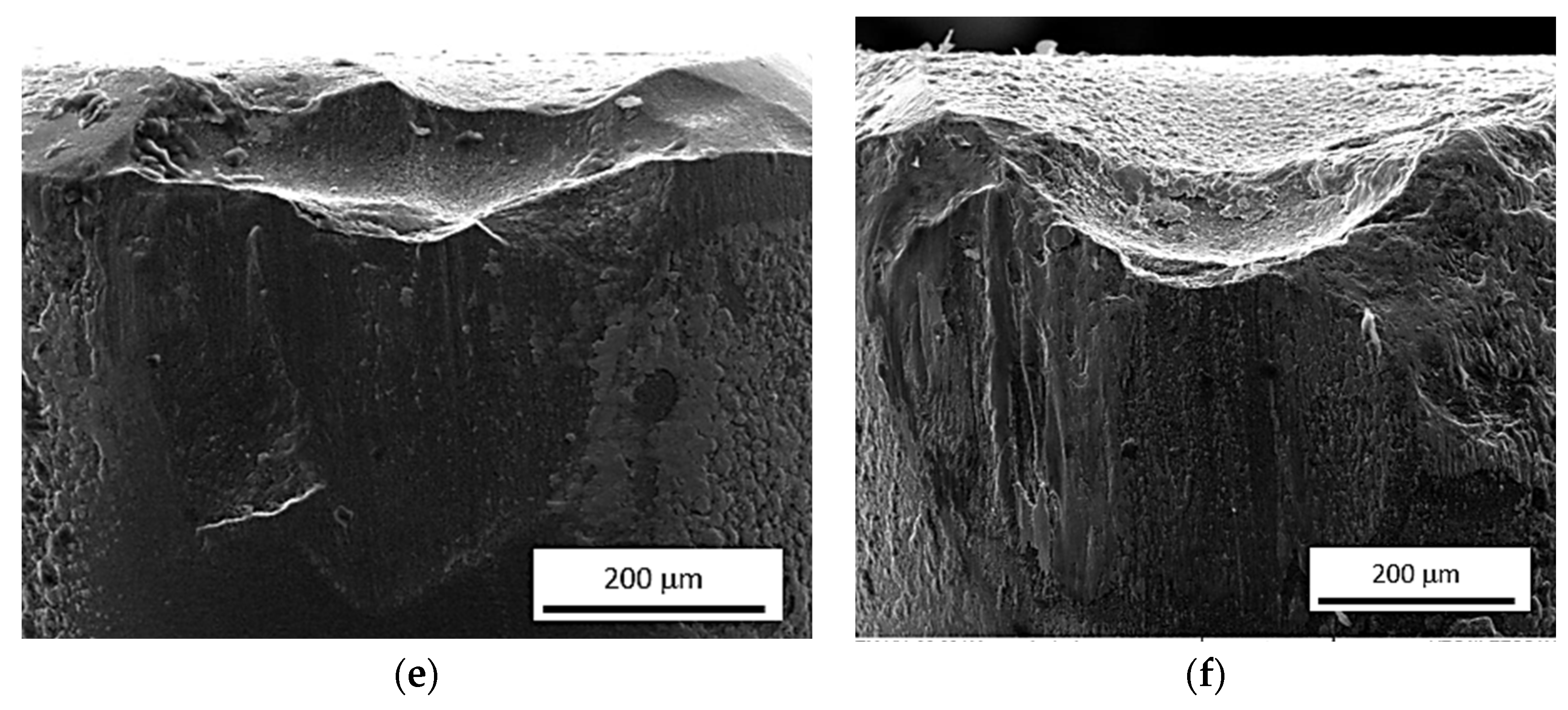 Materials 16 01709 g001b