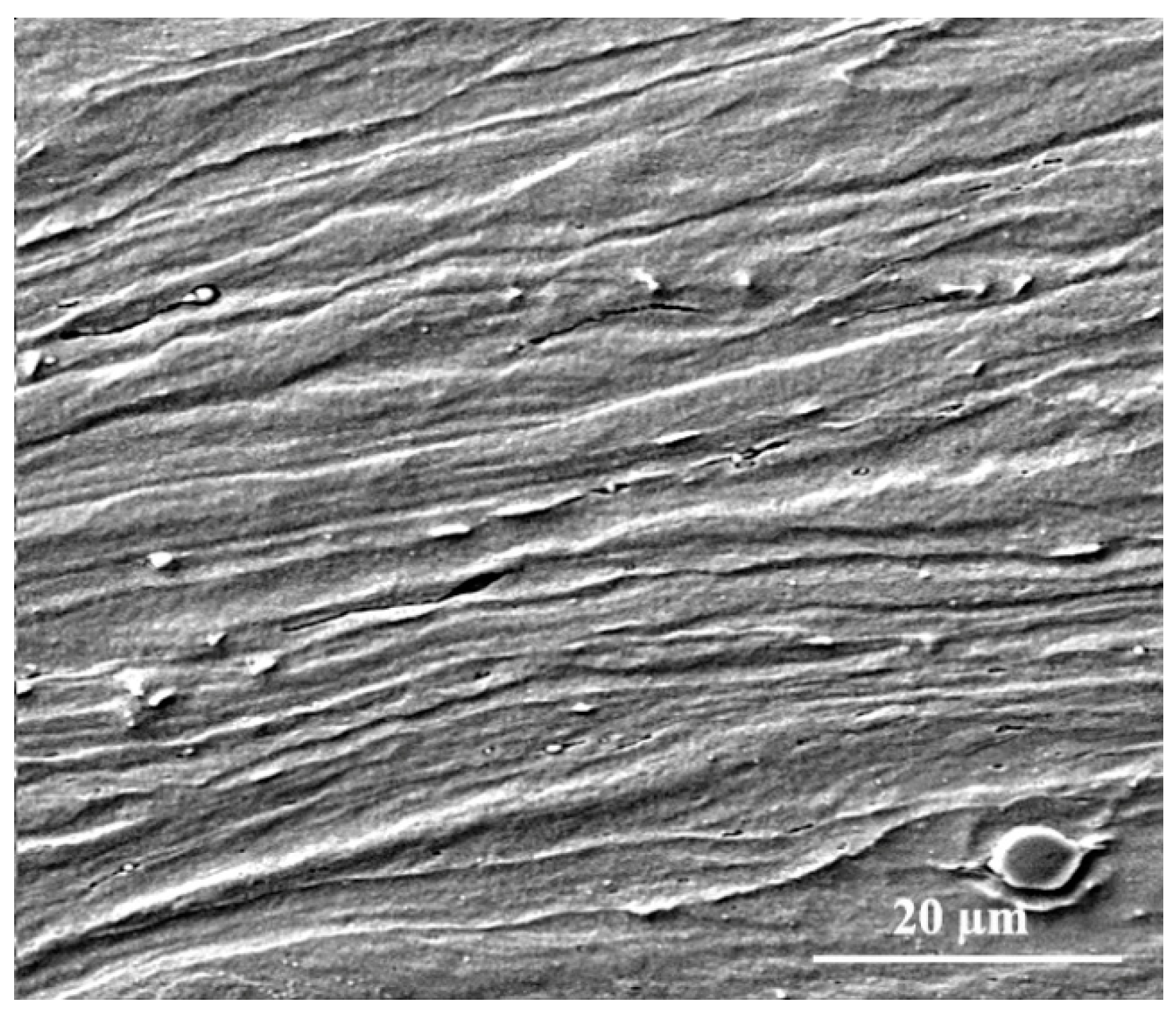 Materials 16 01716 g002