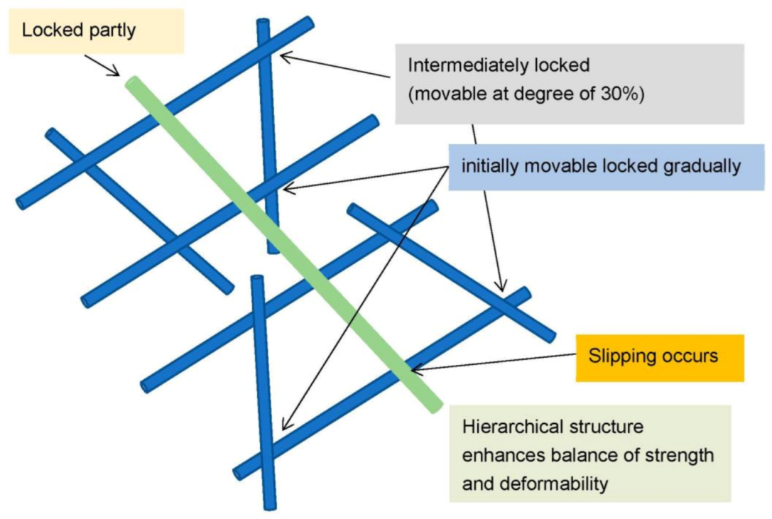 Materials 16 01725 g009 Materials 16 01725 g009