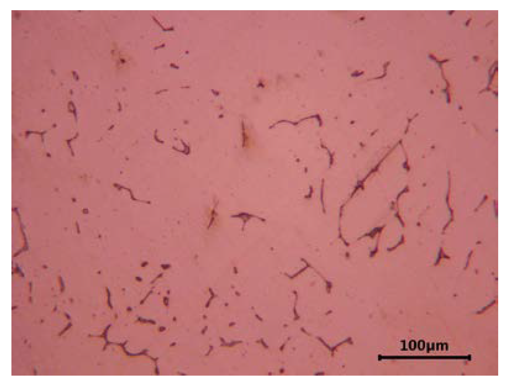 Materials 16 01726 g001