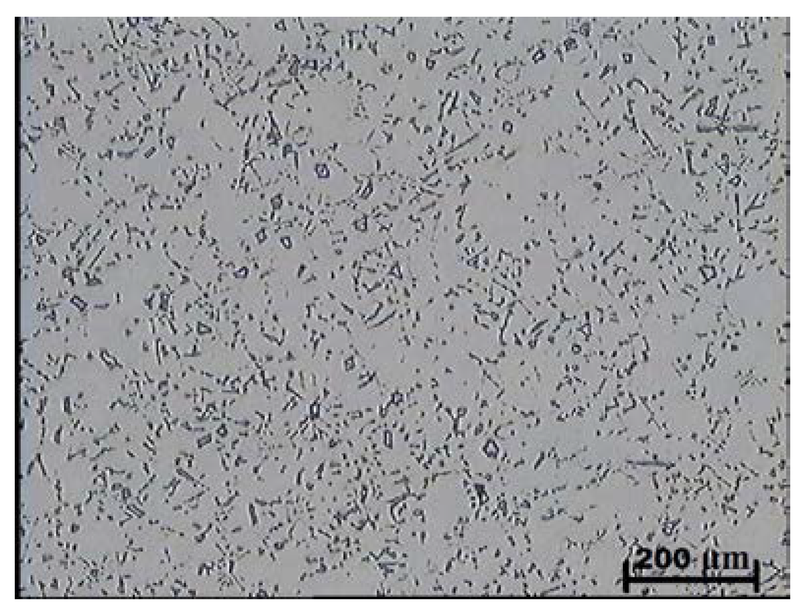 Changes in Abrasion Resistance of Cast Cr-Ni Steel as a Result of the Formation of Niobium Carbides in Alloy Matrix
