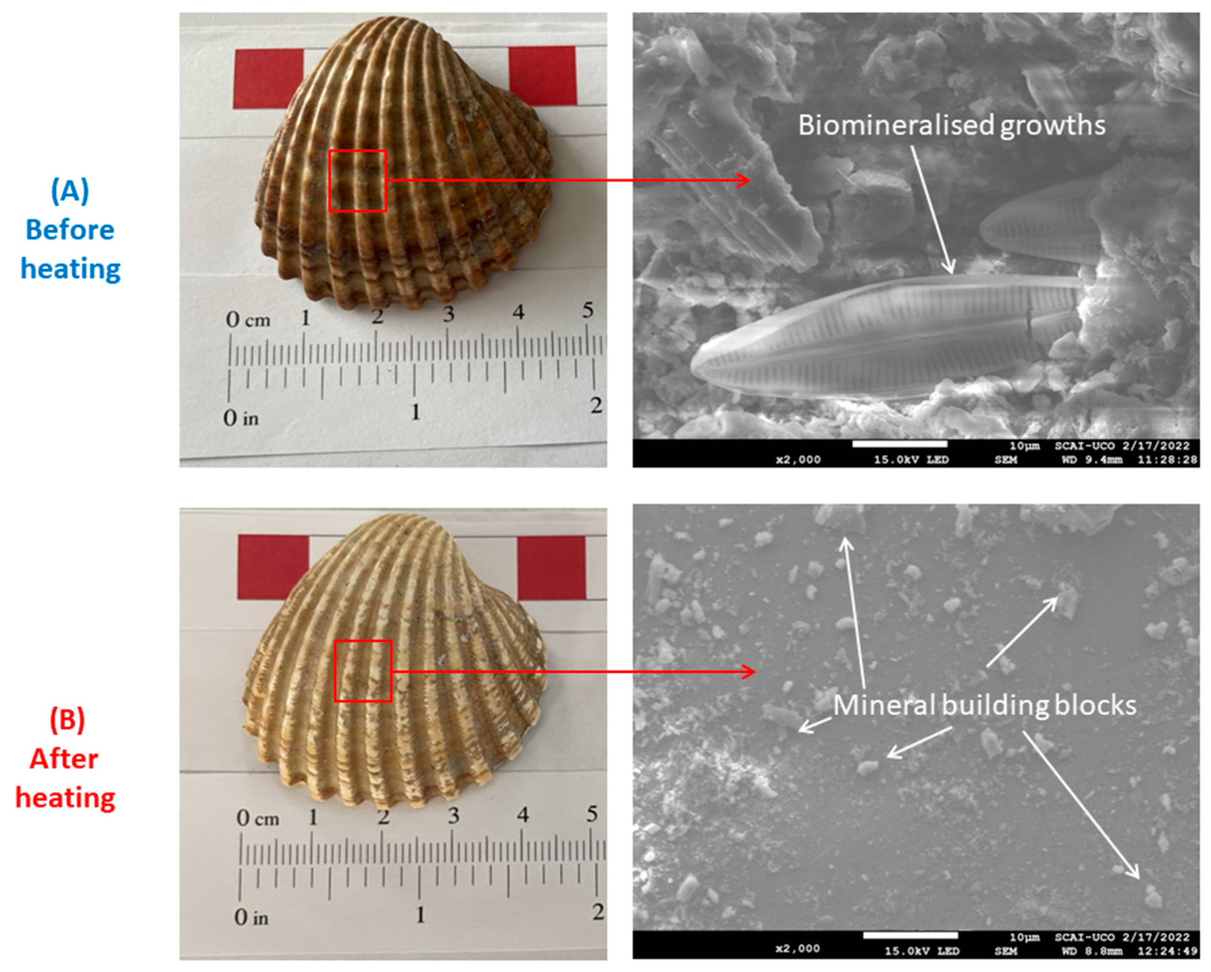 Materials 16 01734 g002