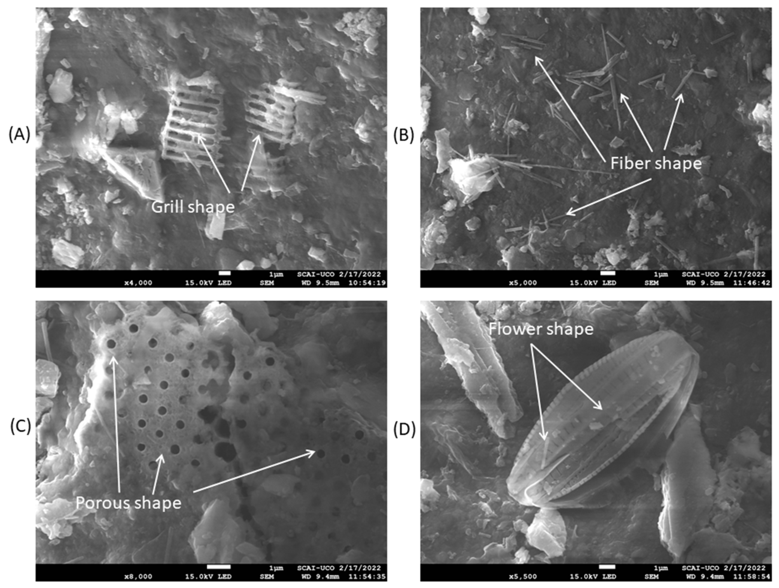 Materials 16 01734 g003