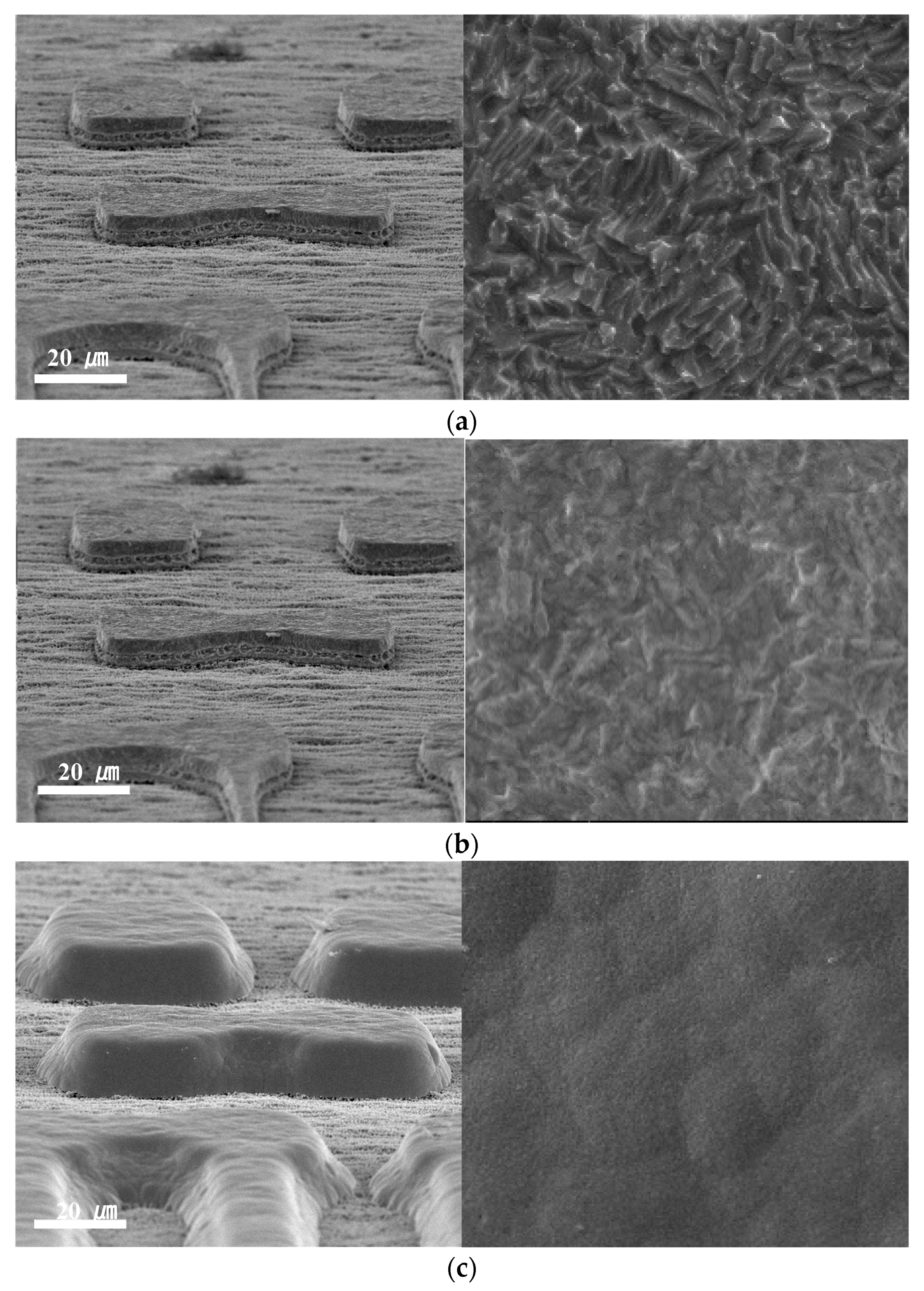 Materials 16 01739 g007