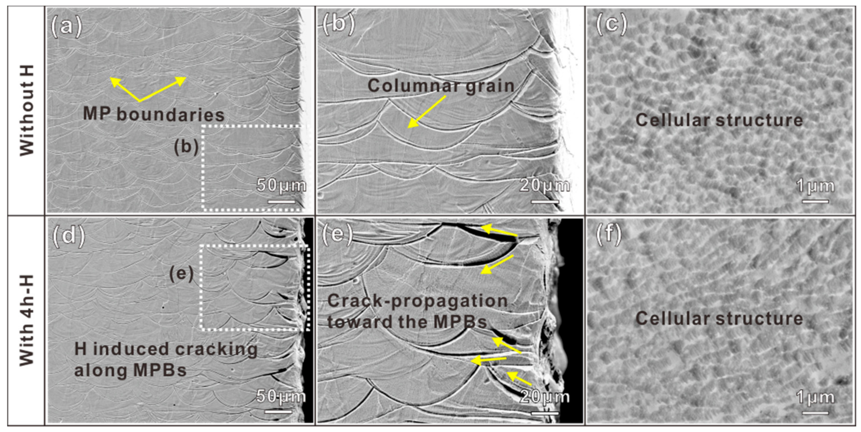 Materials 16 01741 g003 Materials 16 01741 g003