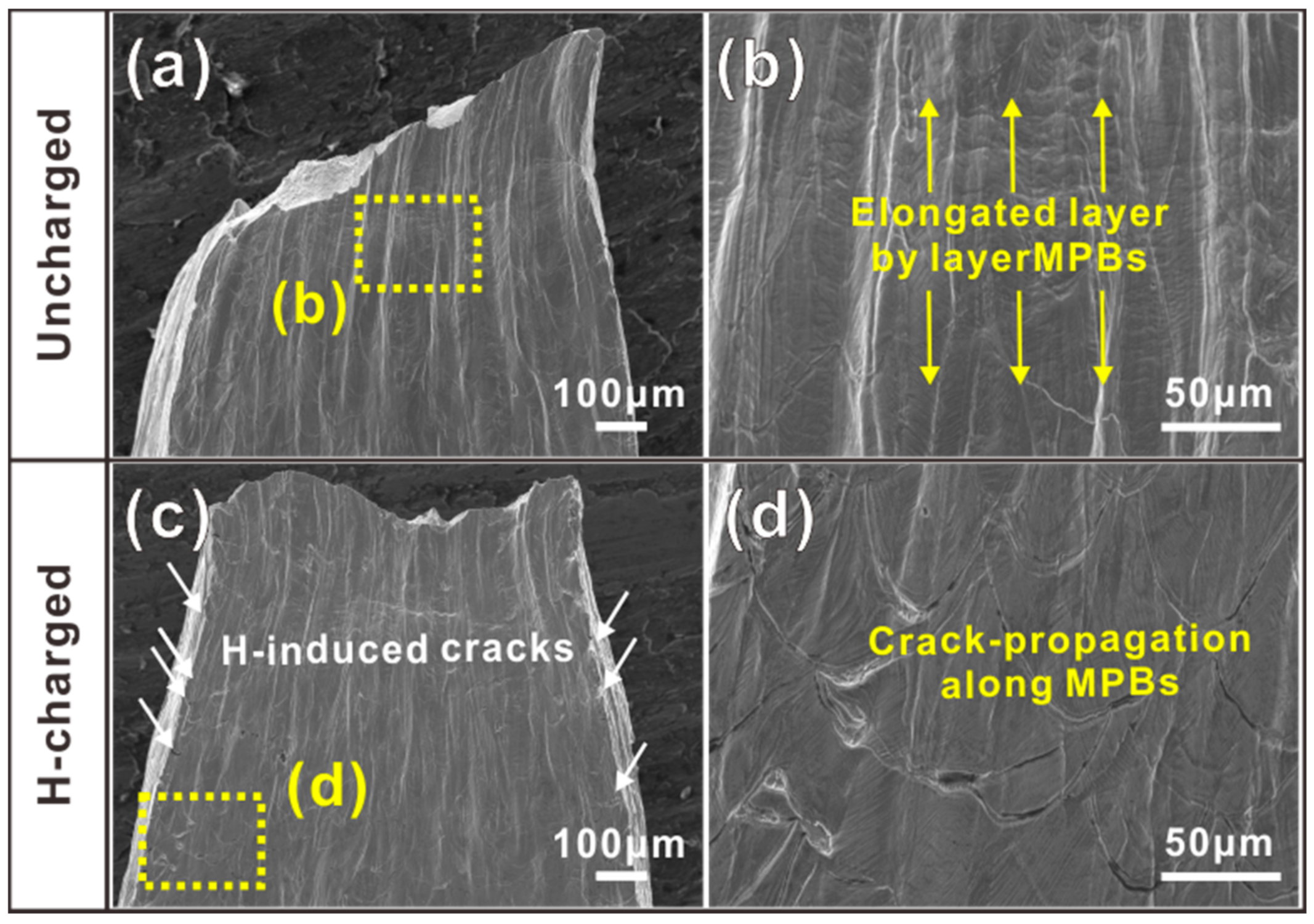 Materials 16 01741 g006 Materials 16 01741 g006