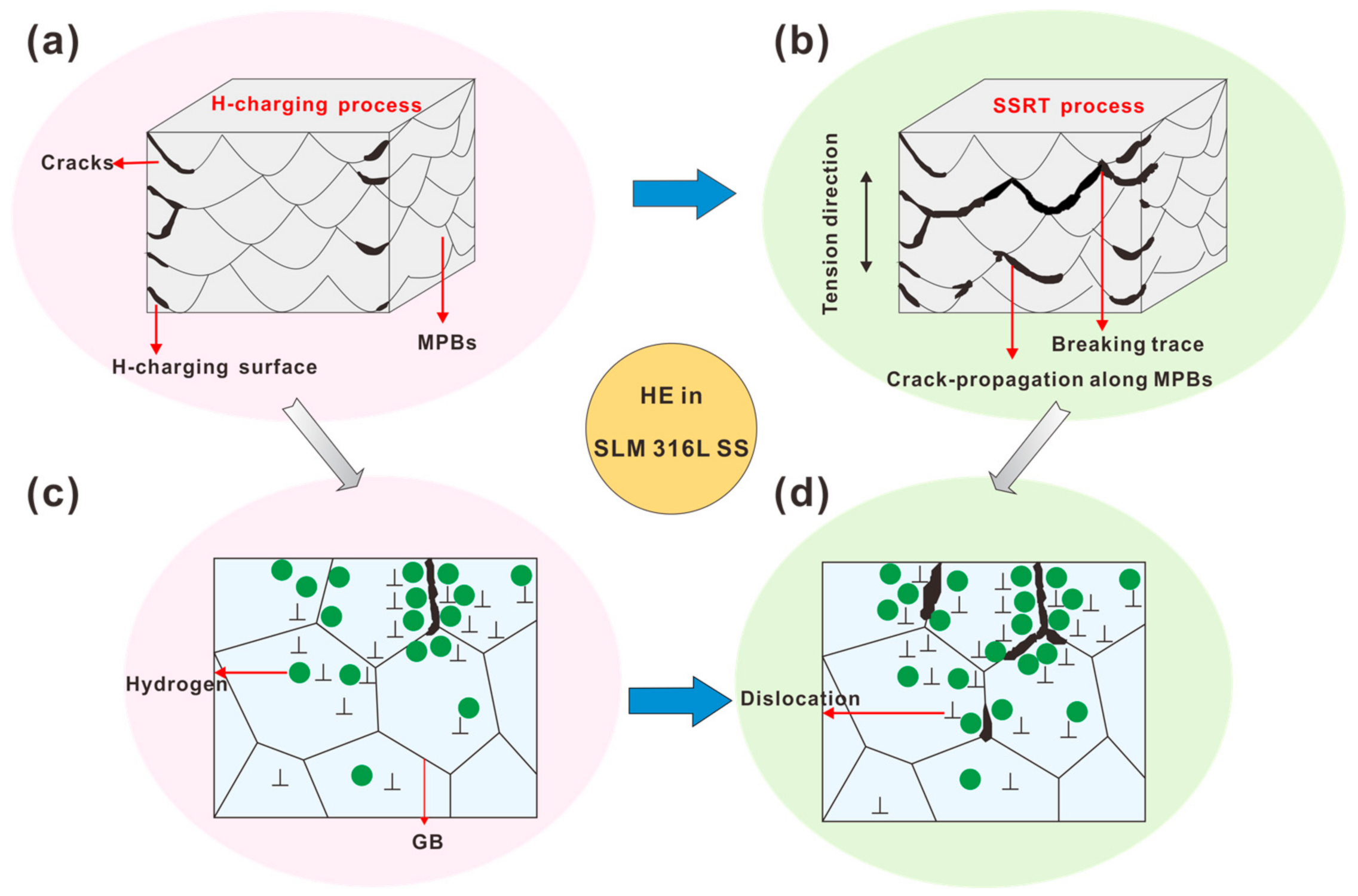 Materials 16 01741 g010 Materials 16 01741 g010