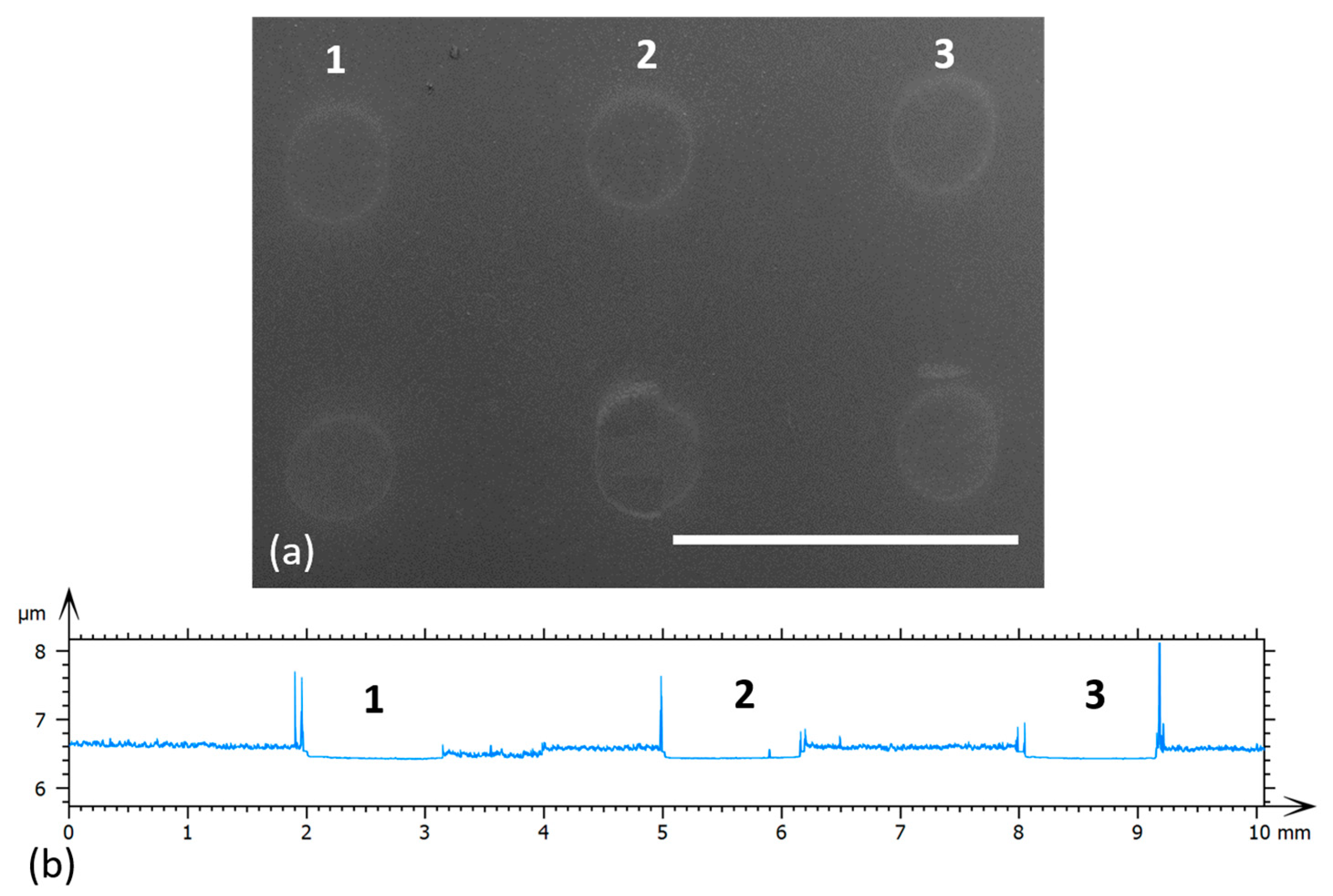 Materials 16 01744 g002 Materials 16 01744 g002