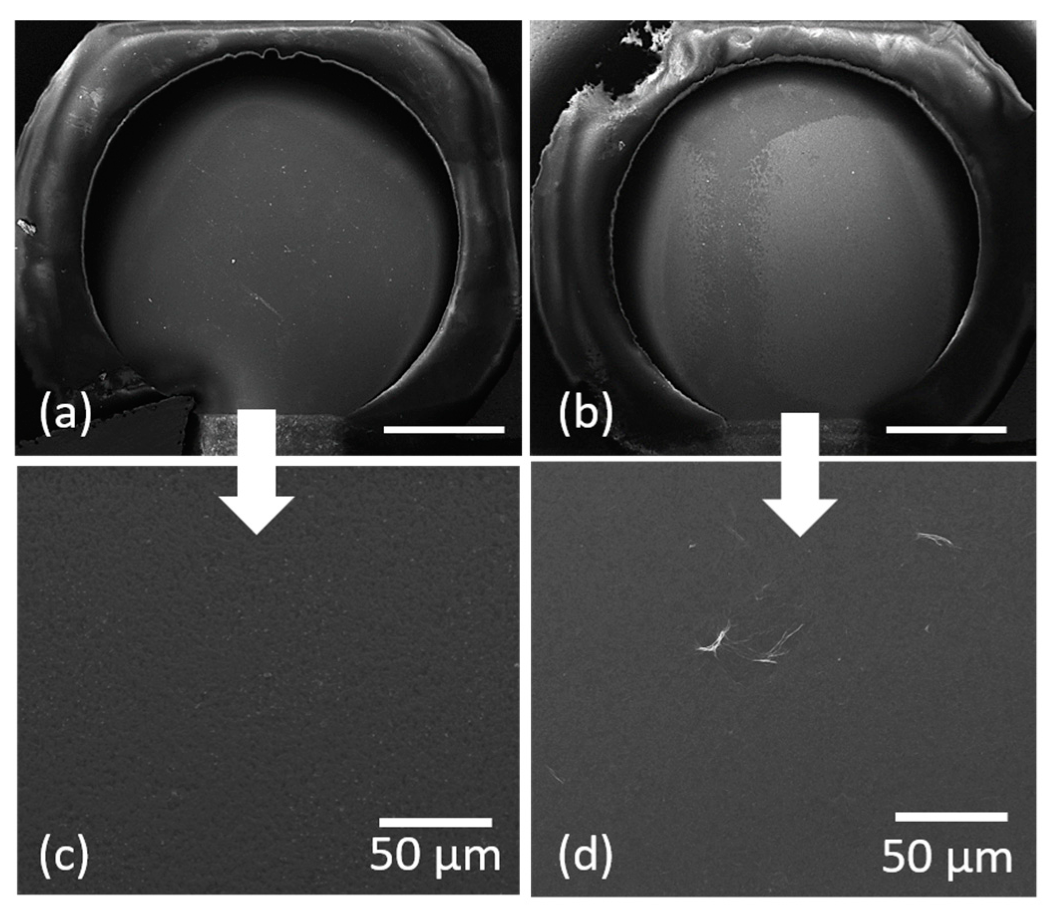 Materials 16 01744 g003 Materials 16 01744 g003