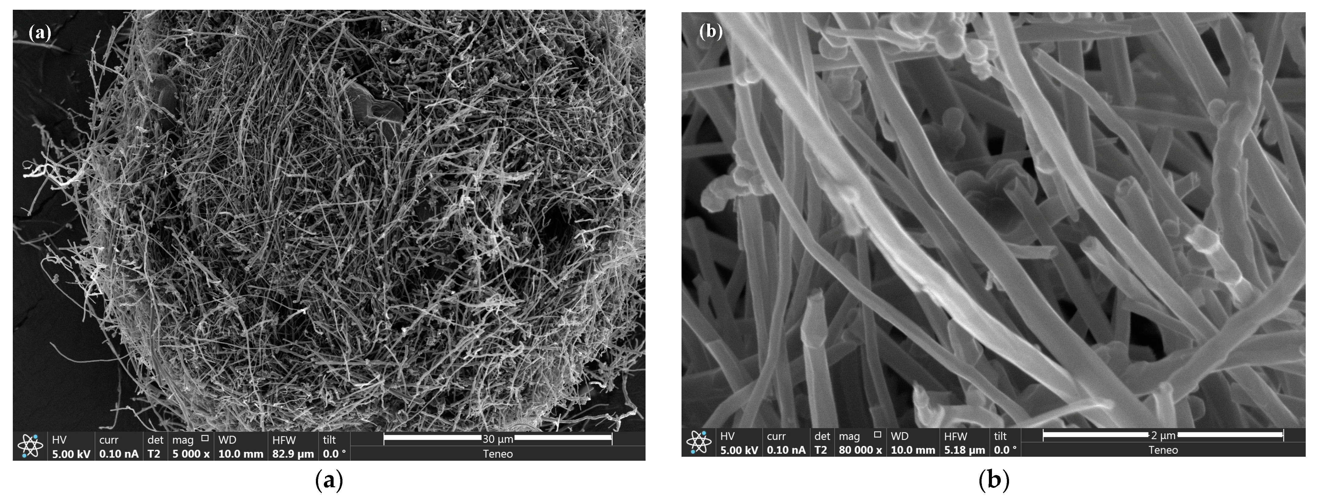 Materials 16 01749 g002 Materials 16 01749 g002