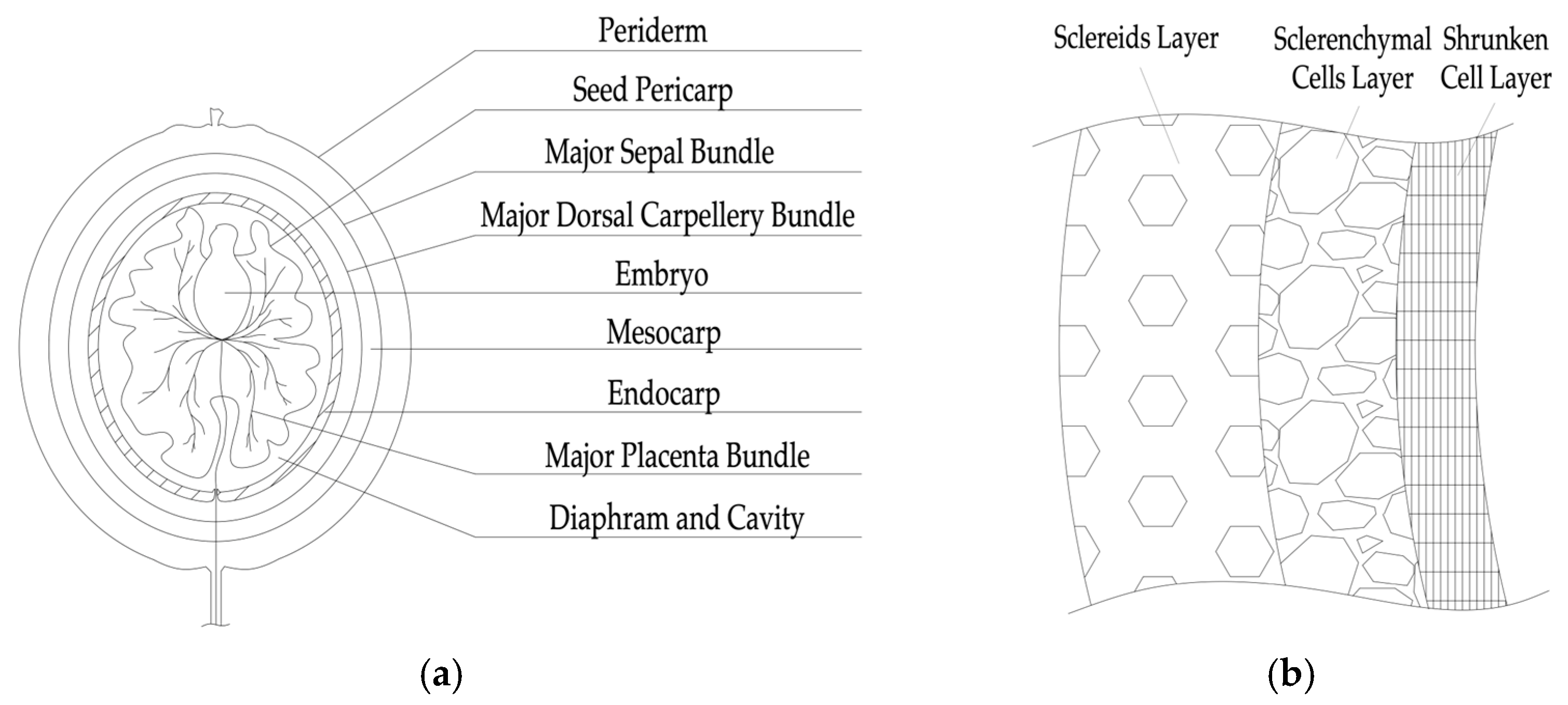 Materials 16 01752 g001