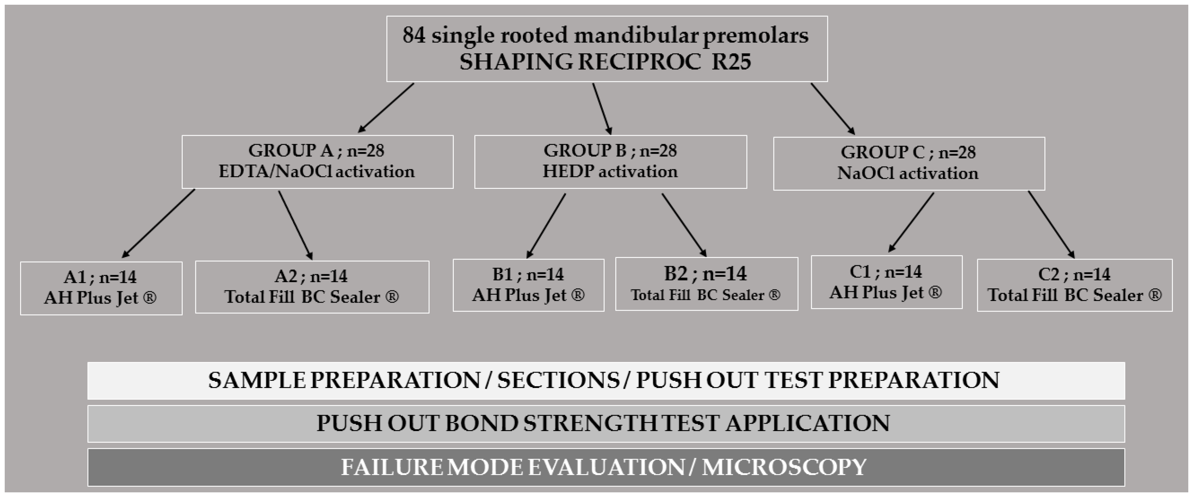 Materials 16 01761 g001 Materials 16 01761 g001