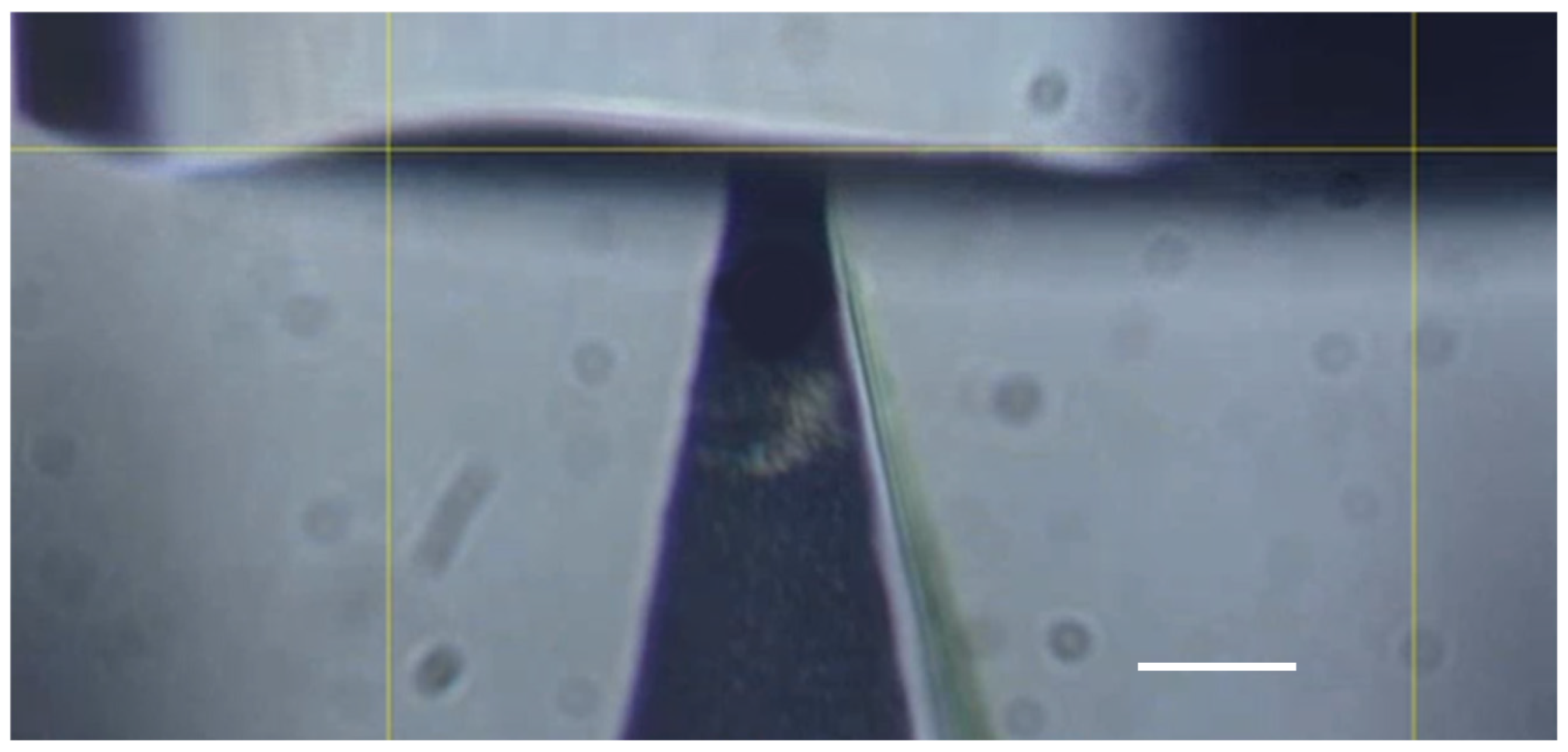 Materials 16 01769 g001 Materials 16 01769 g001