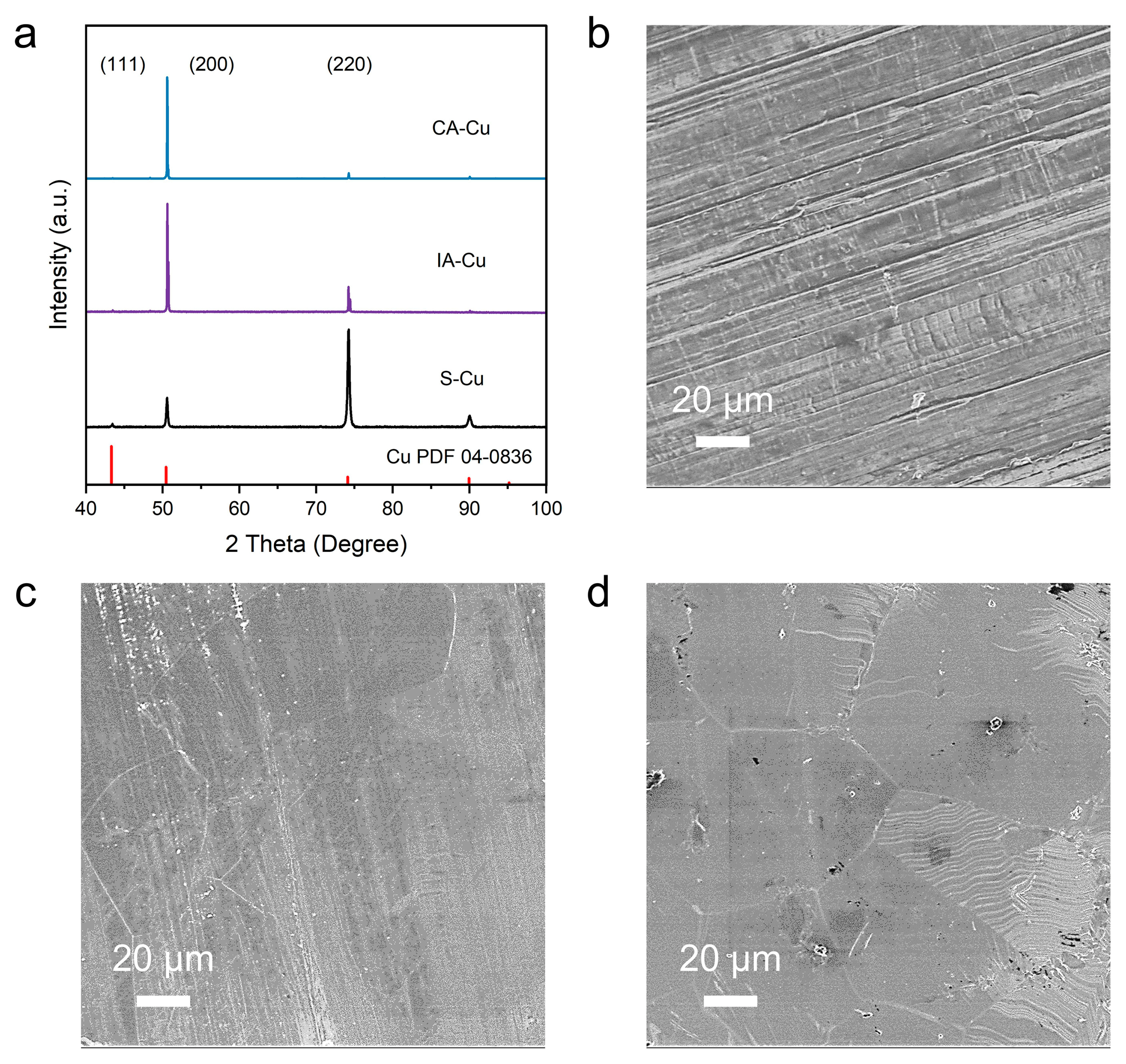 Materials 16 01777 g001 Materials 16 01777 g001