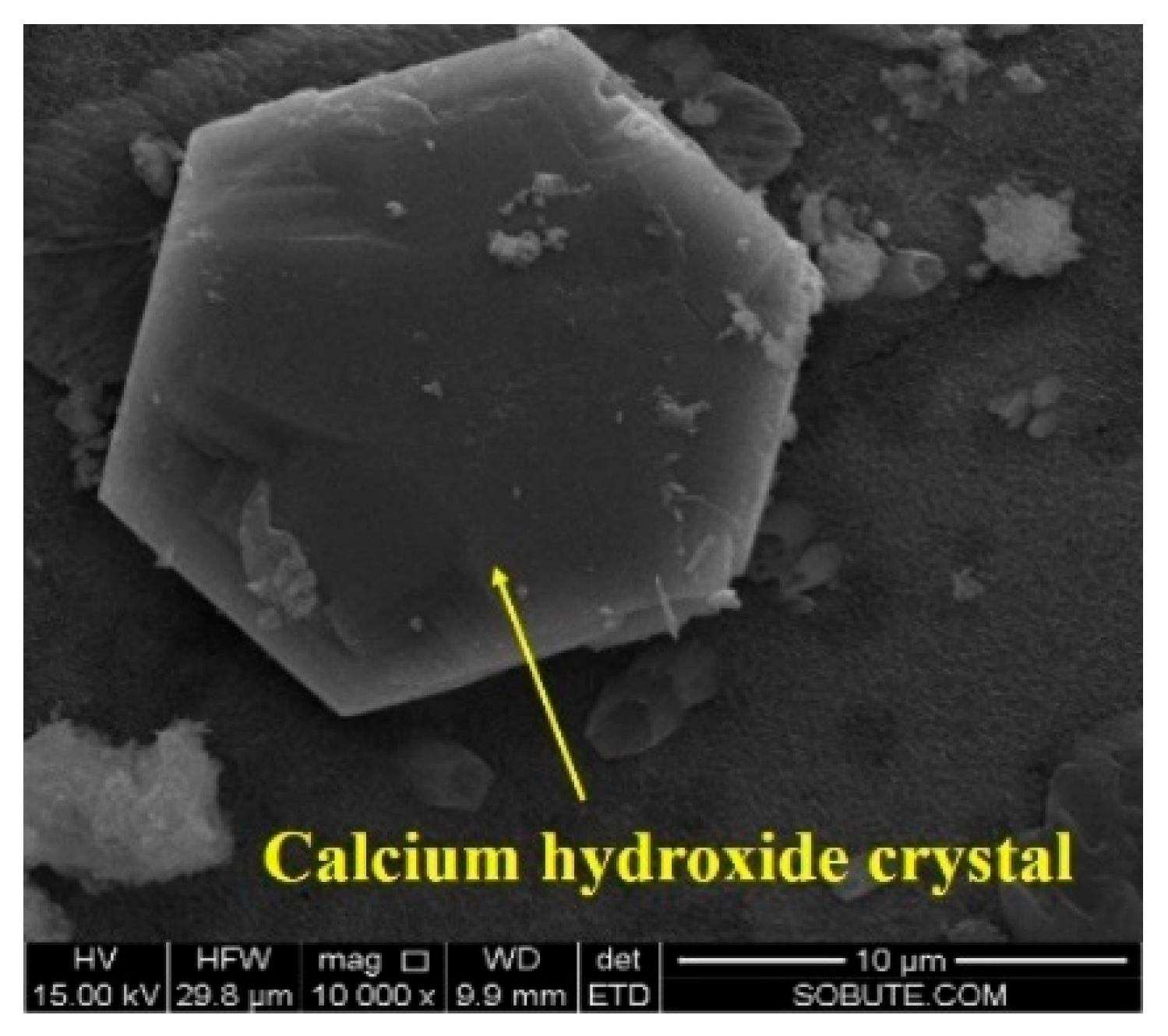 Materials 16 01780 g021 Materials 16 01780 g021