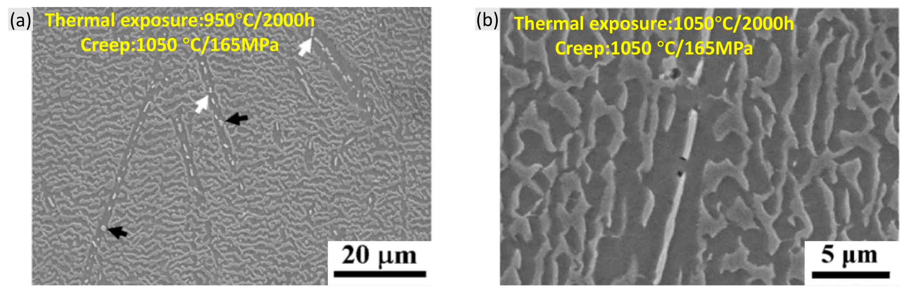 Materials 16 01787 g020 Materials 16 01787 g020