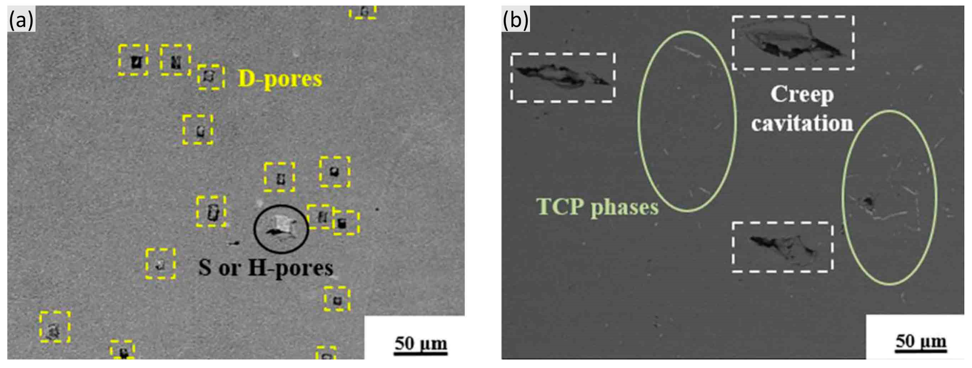 Materials 16 01787 g021 Materials 16 01787 g021