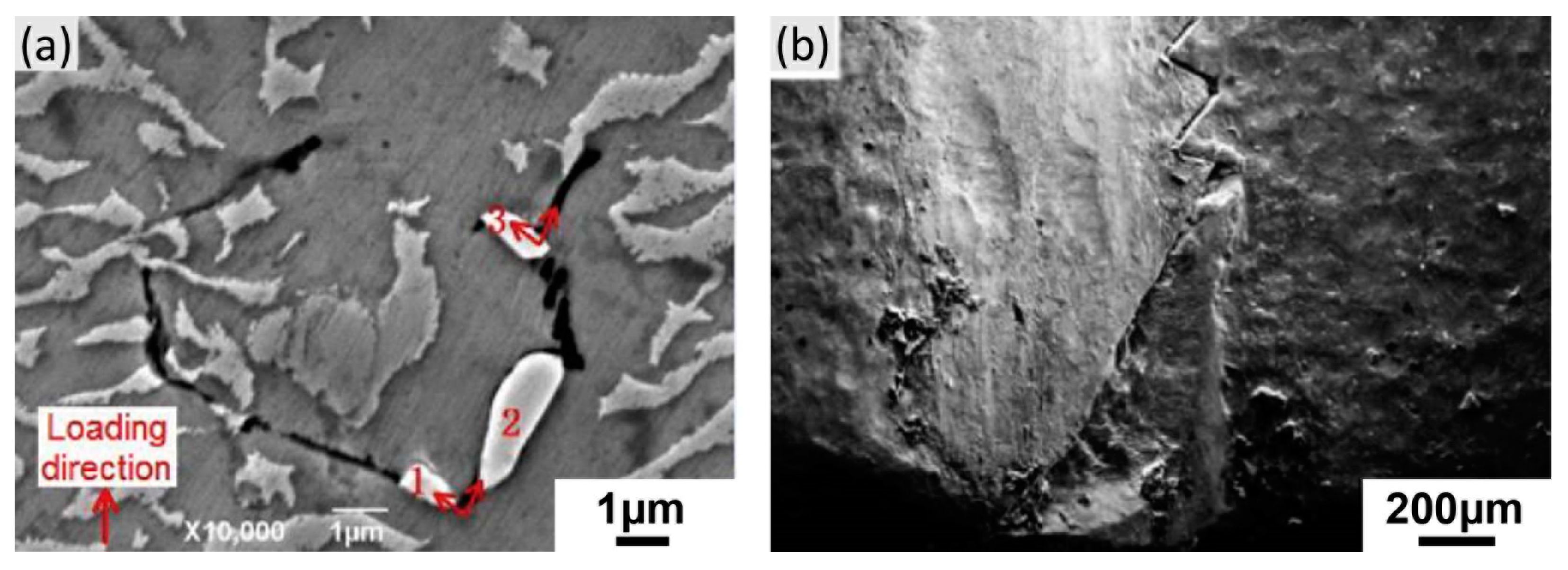 Materials 16 01787 g022 Materials 16 01787 g022