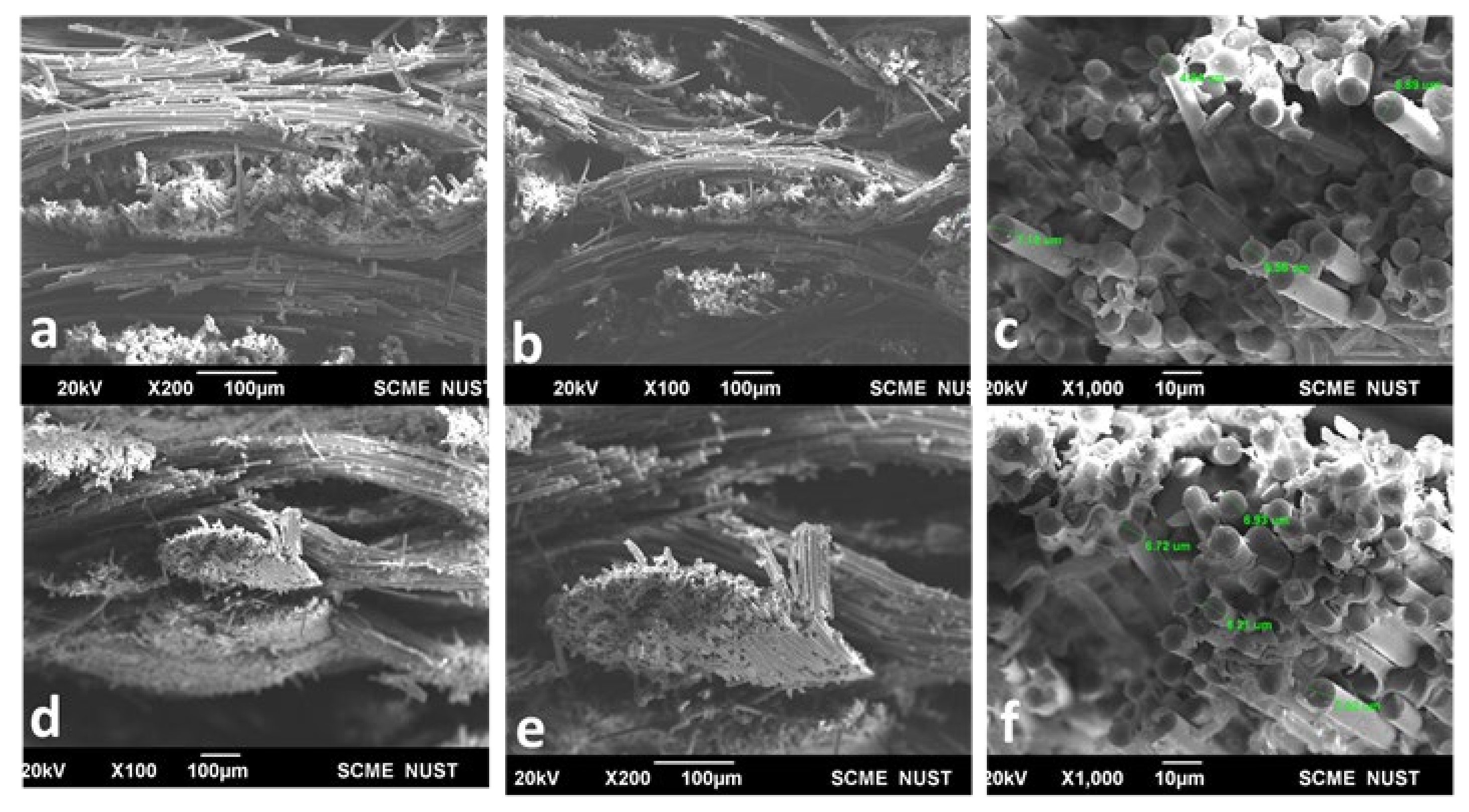 Materials 16 01790 g005