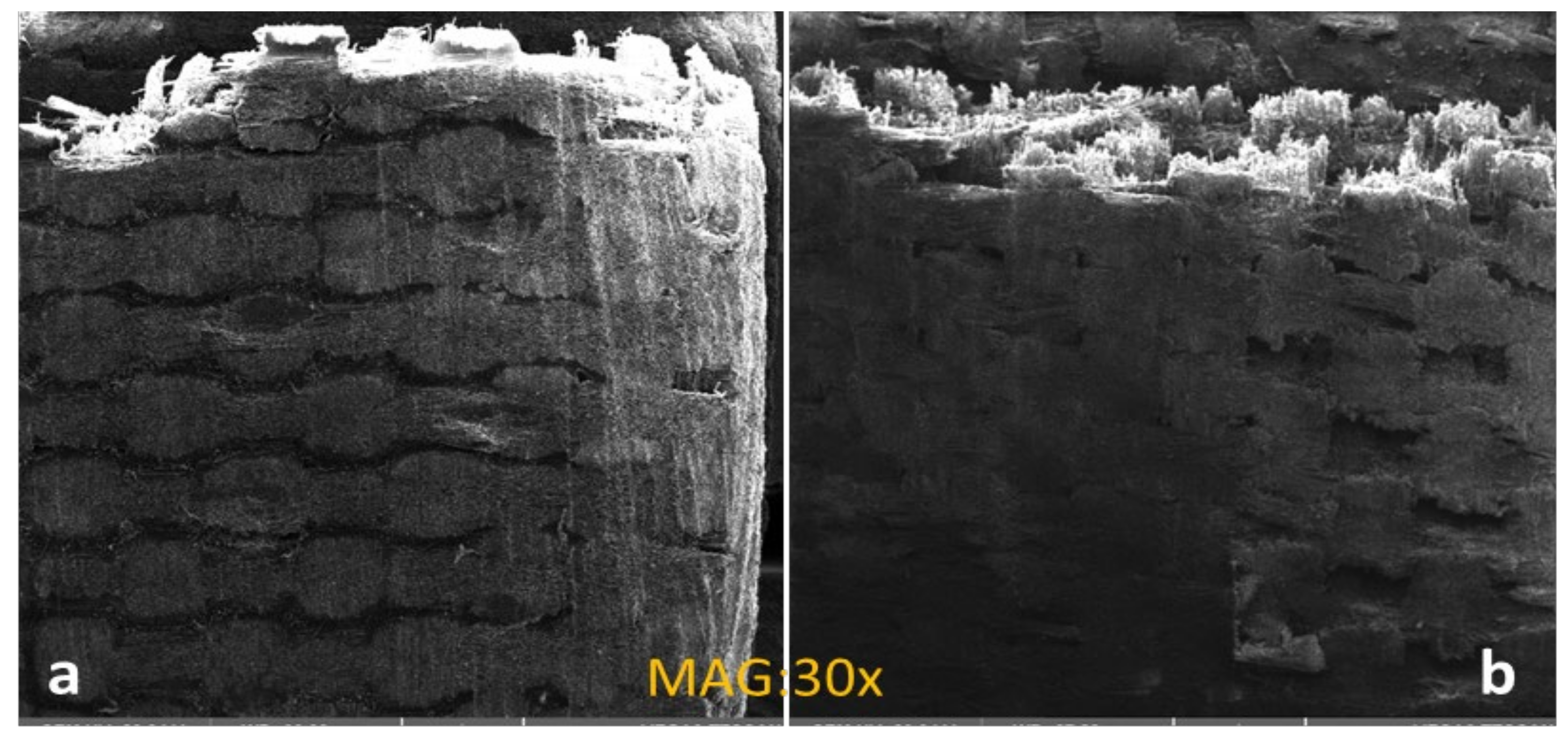 Materials 16 01790 g010