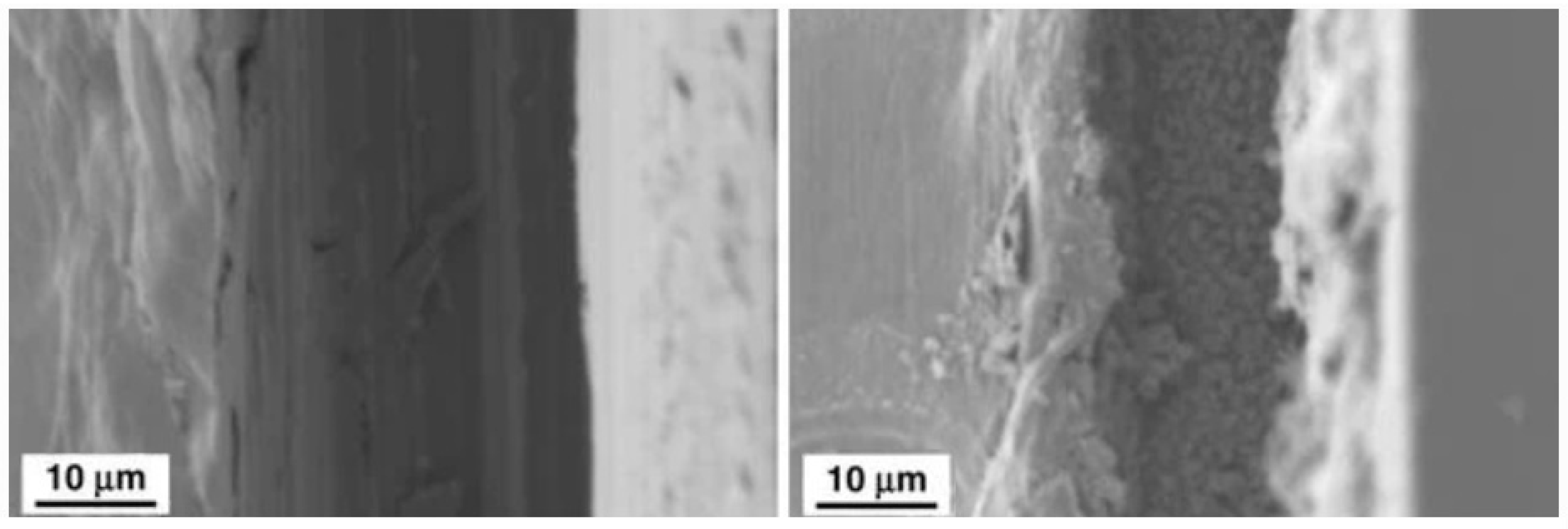 Materials 16 01795 g017