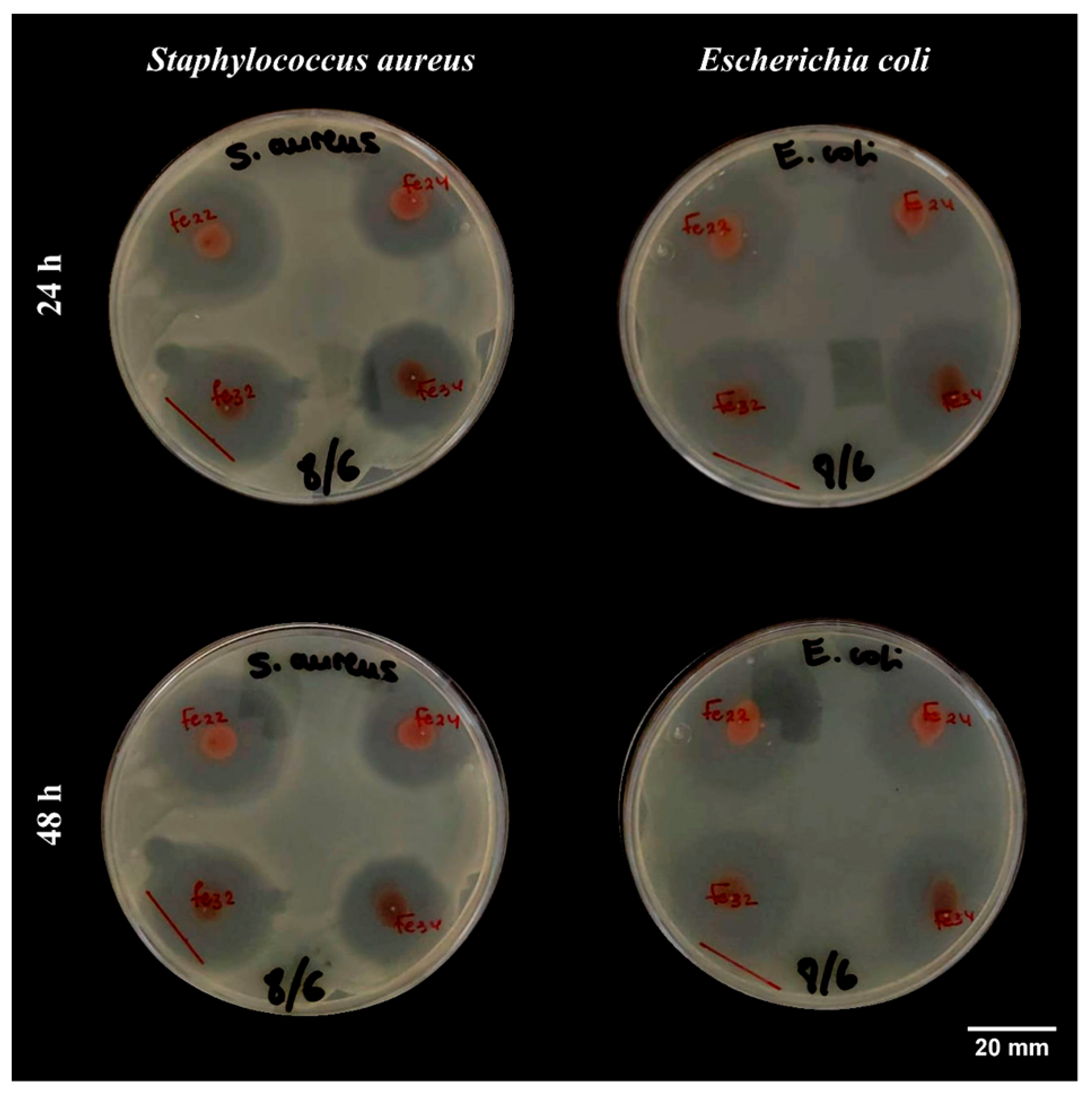 Materials 16 01798 g006 Materials 16 01798 g006