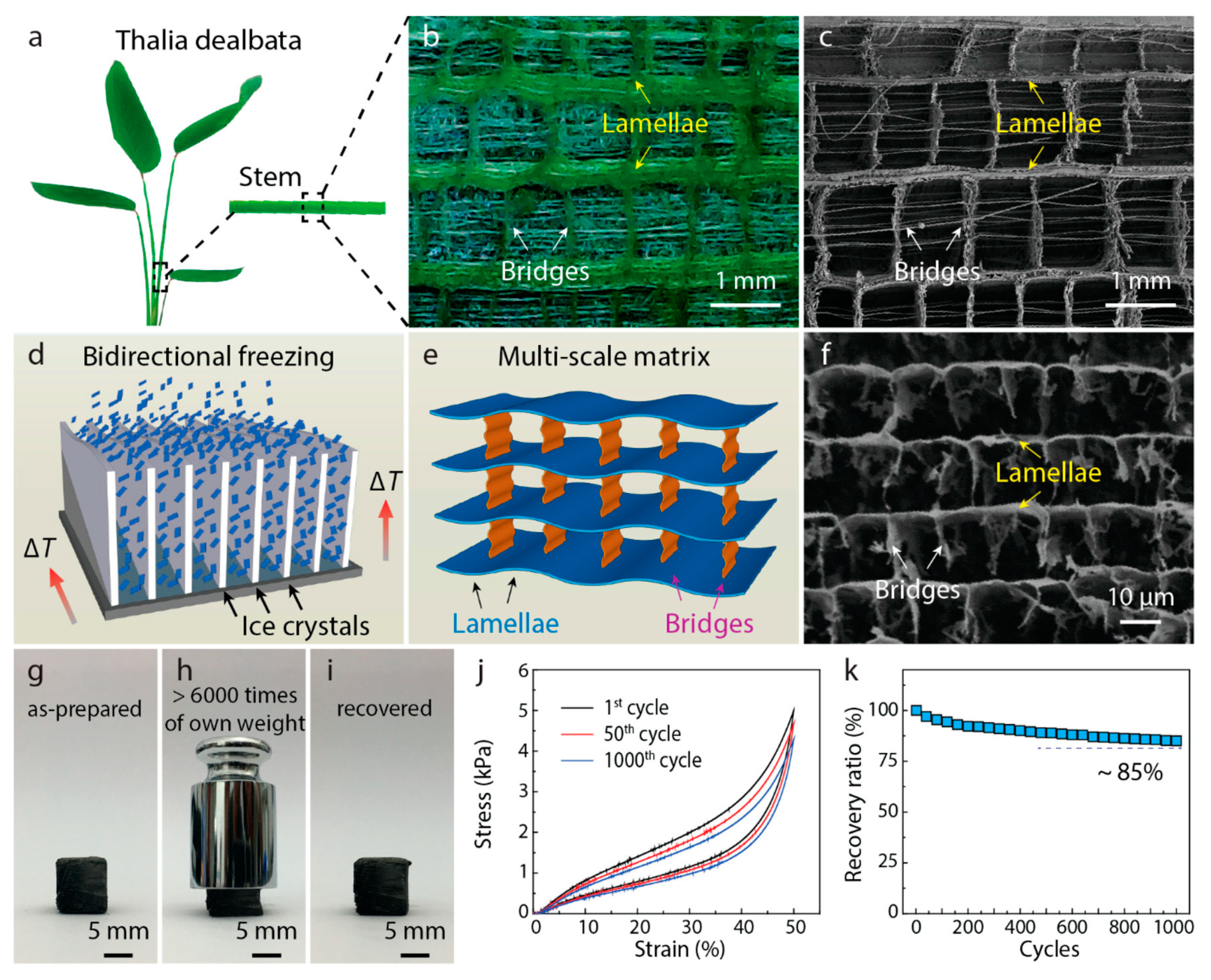 Materials 16 01800 g003