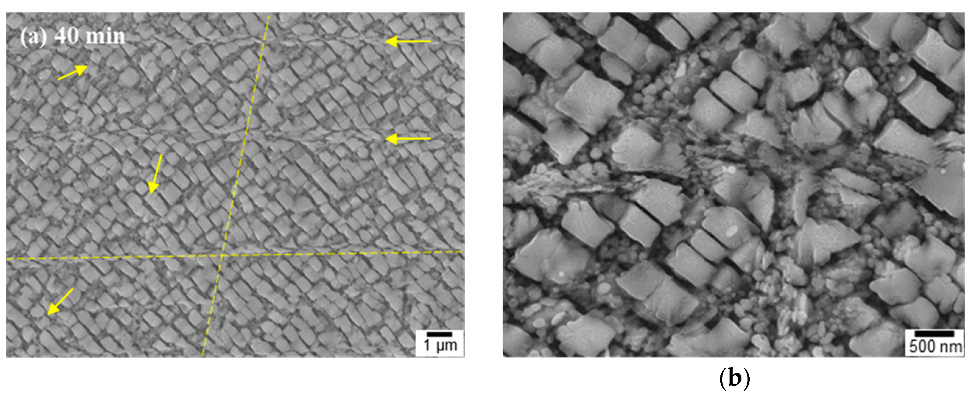 Materials 16 01802 g005a Materials 16 01802 g005a