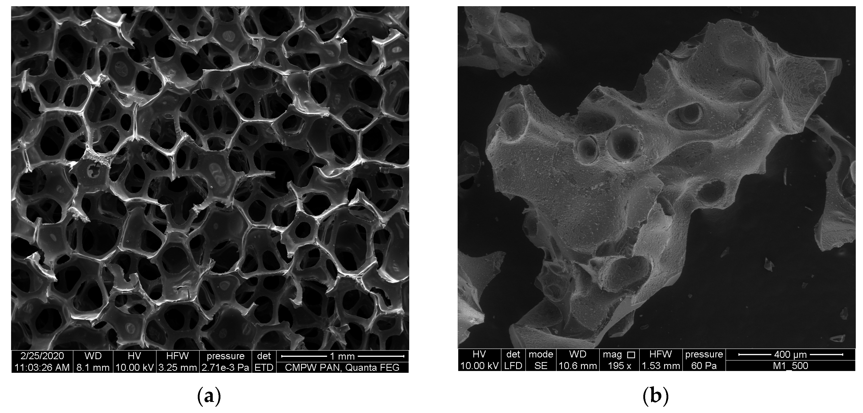 Materials 16 01805 g001 Materials 16 01805 g001