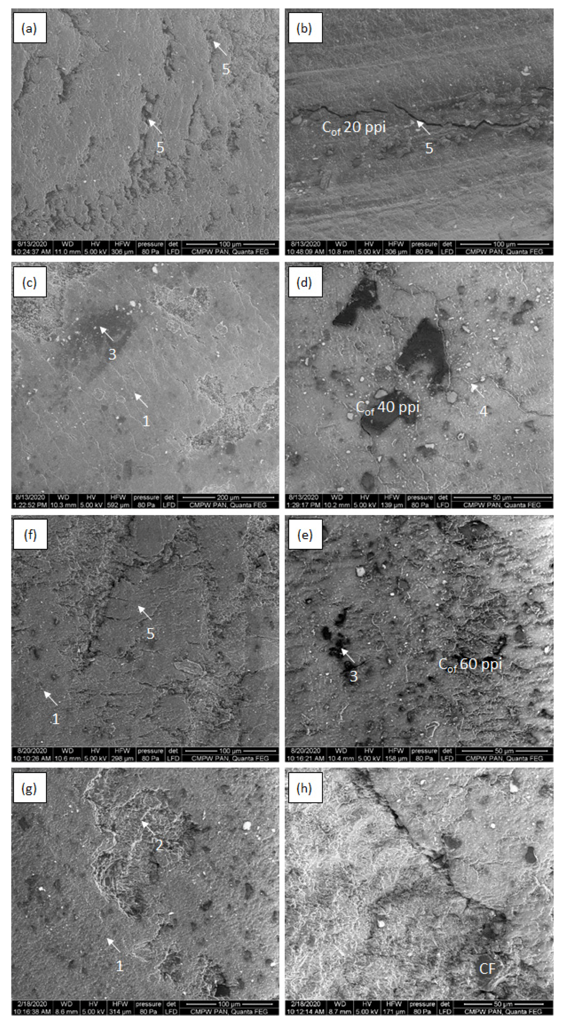 Materials 16 01805 g011 Materials 16 01805 g011