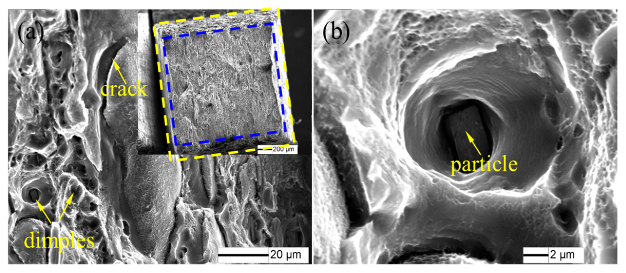 Materials 16 01807 g008