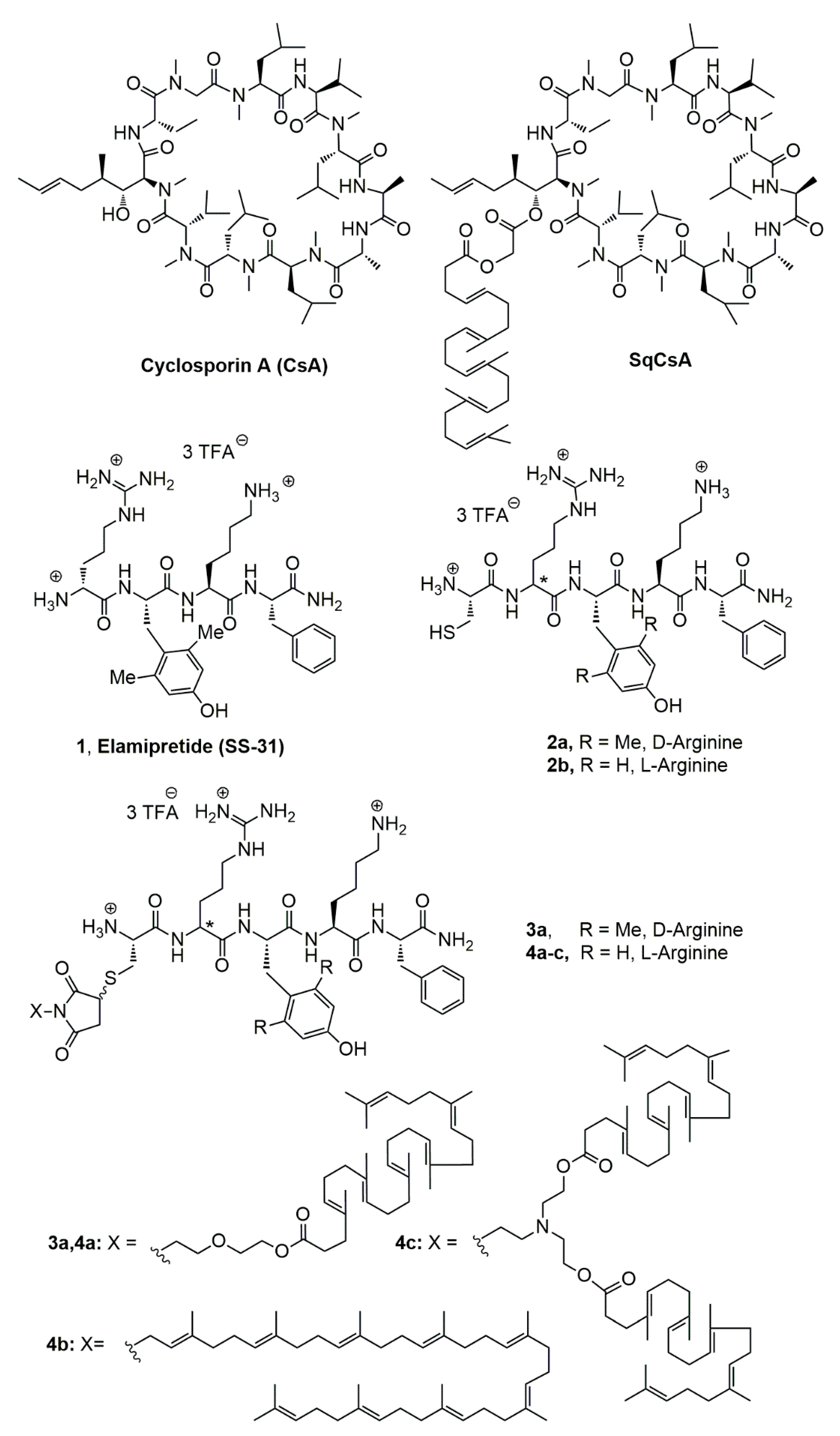 Materials 16 01812 g001 Materials 16 01812 g001