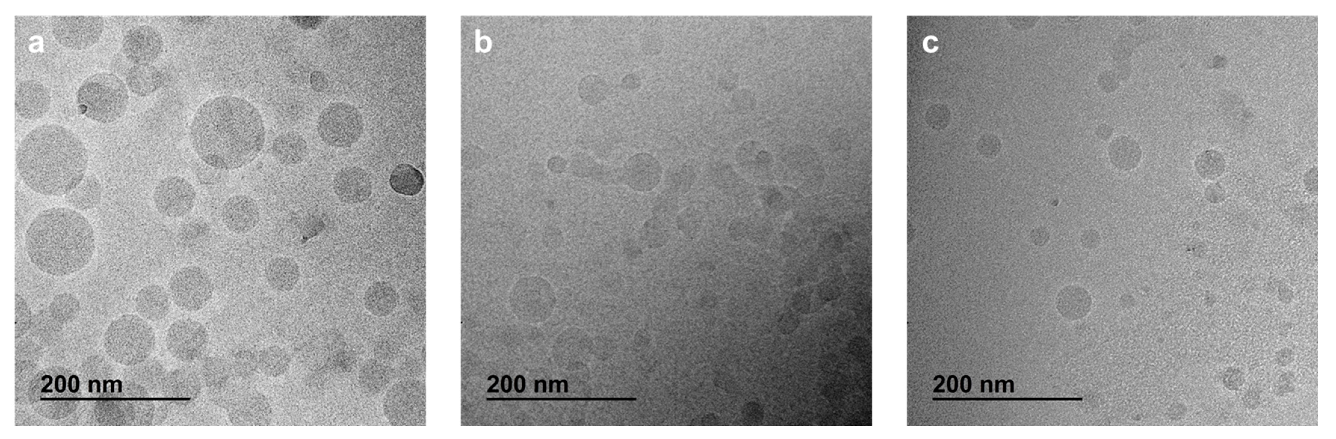 Materials 16 01812 g003 Materials 16 01812 g003