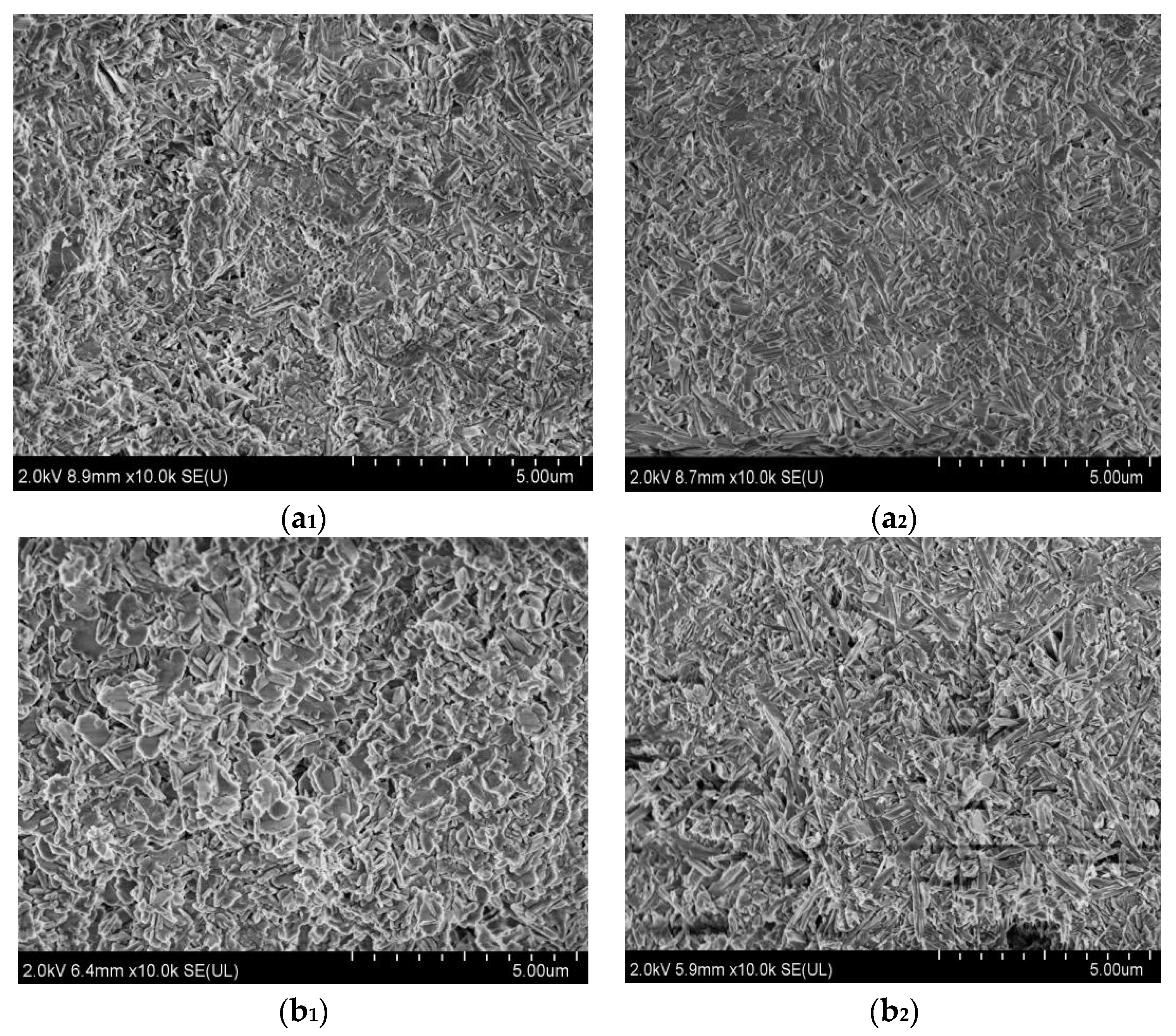 Materials 16 01817 g009a