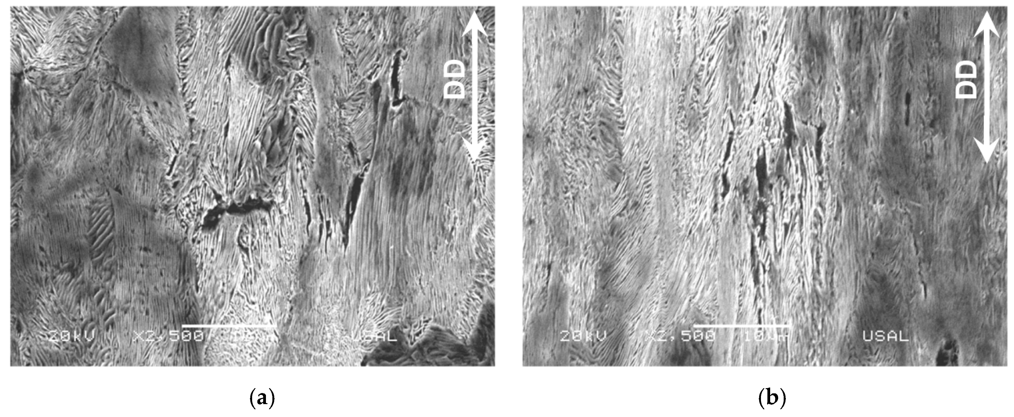 Materials 16 01822 g006 Materials 16 01822 g006